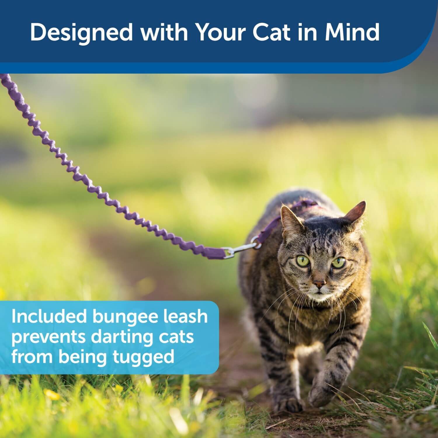 Petsafe Come With Me Kitty Harness And Bungee Cat Leash, Lilac/Deep Purple