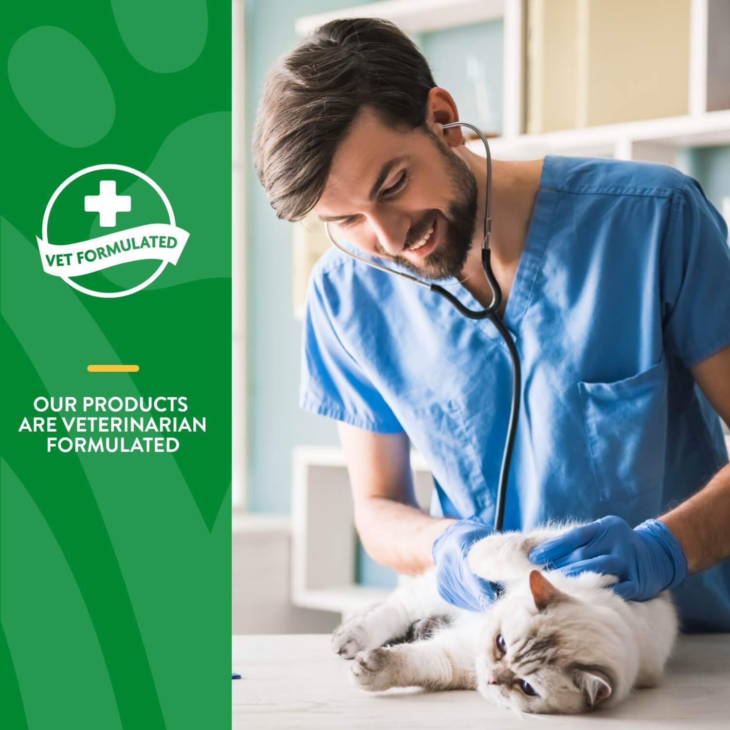 Naturvet Hairball Aid Daily Support + Pumpkin Soft Chew Supplement For Cats, 60Ct