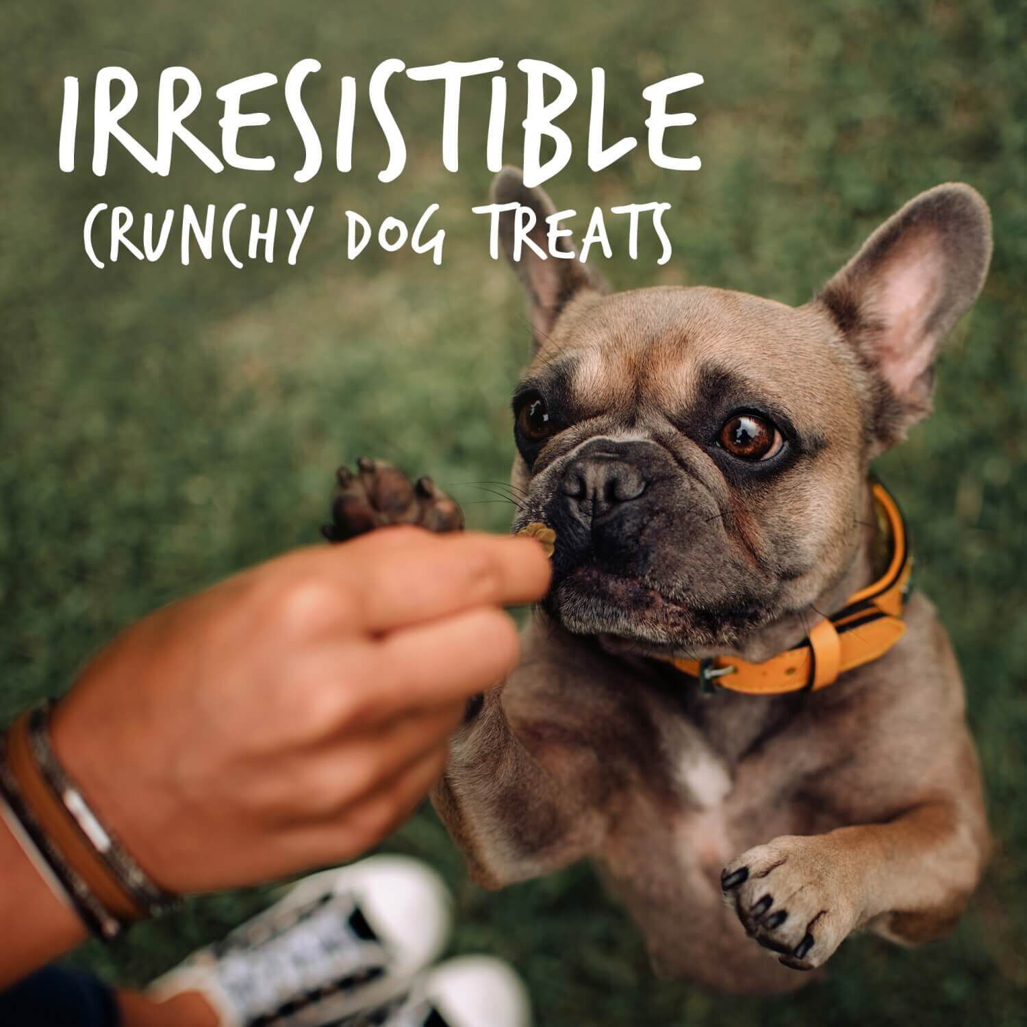 Fruitables Skinny Minis Grain Free Low Calorie Dog Treats, Rotisserie Chicken Flavor
