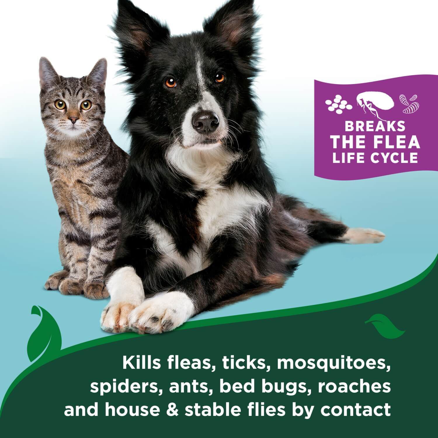 Vets Best Flea & Tick Cat Waterless Bath, Cotton Spice Scent
