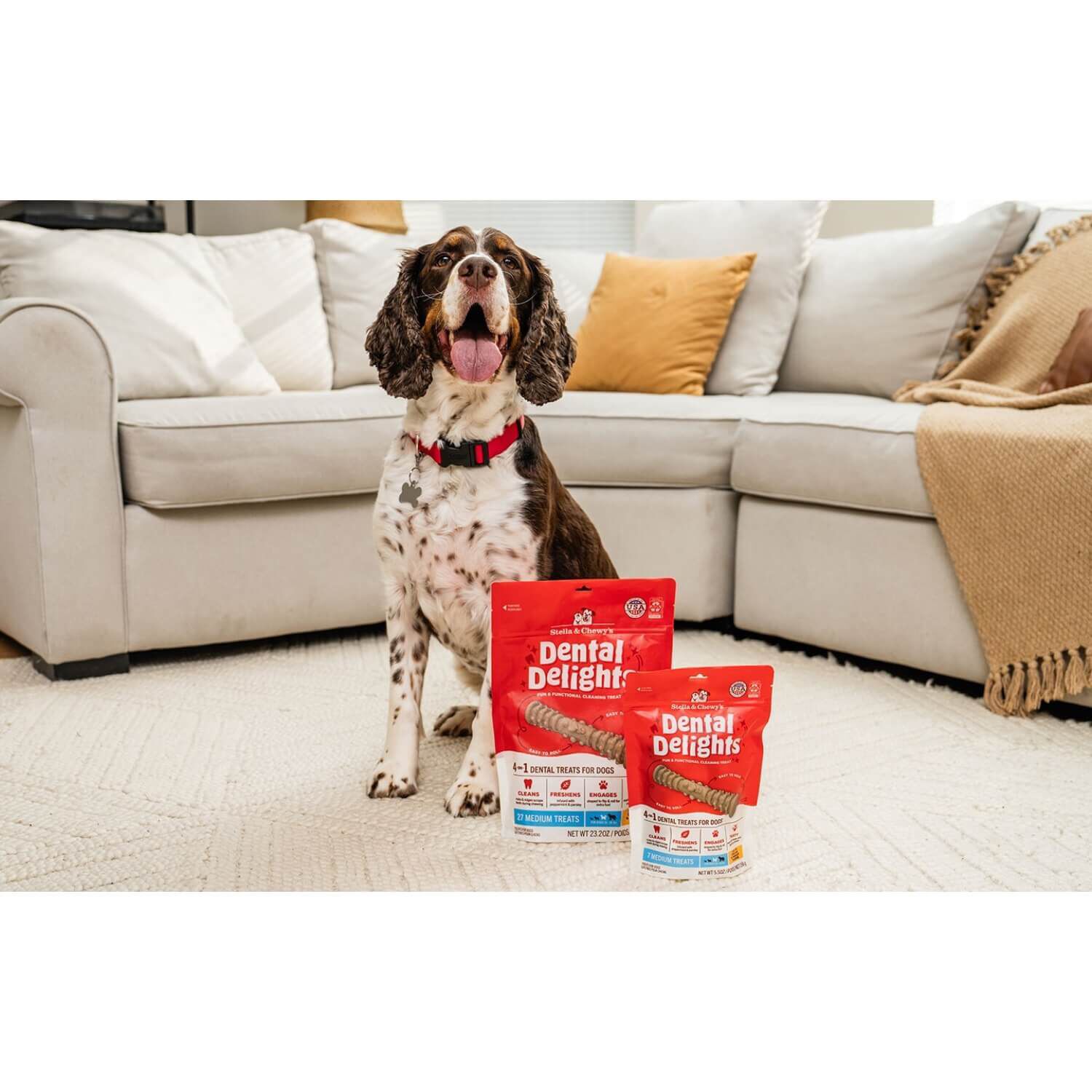 Stella & Chewy's Dental Delights Dog Treats, Large, 4 Count