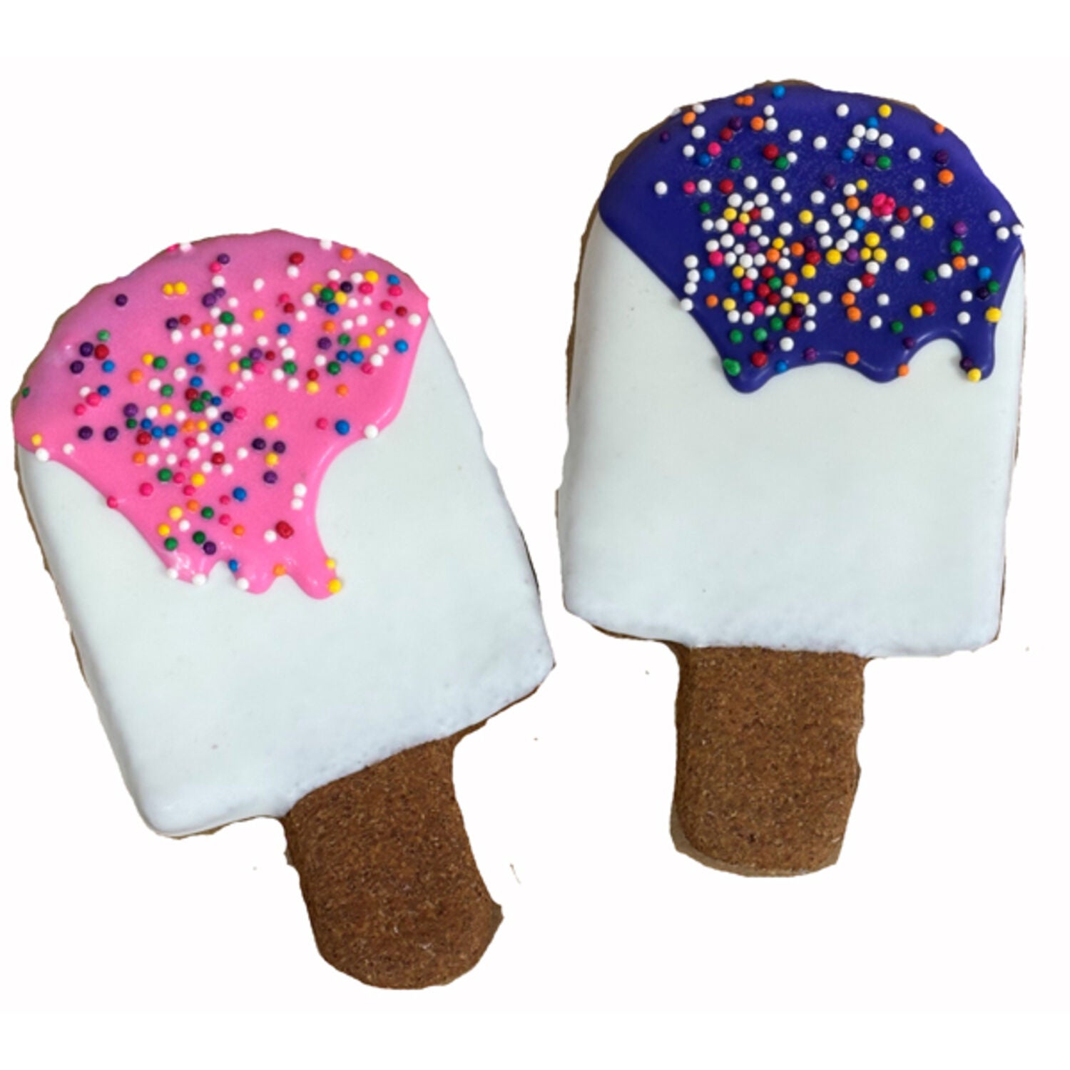 Pawsitively Gourmet Summer Popsicles Cookie Dog Treat, 1 Each