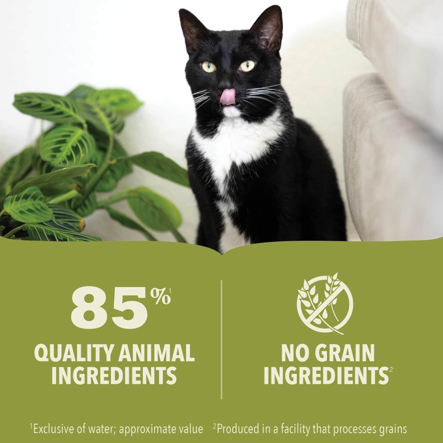Acana Premium P&acirc;t&eacute; Chicken & Fish Recipe In Bone Broth Wet Cat Food