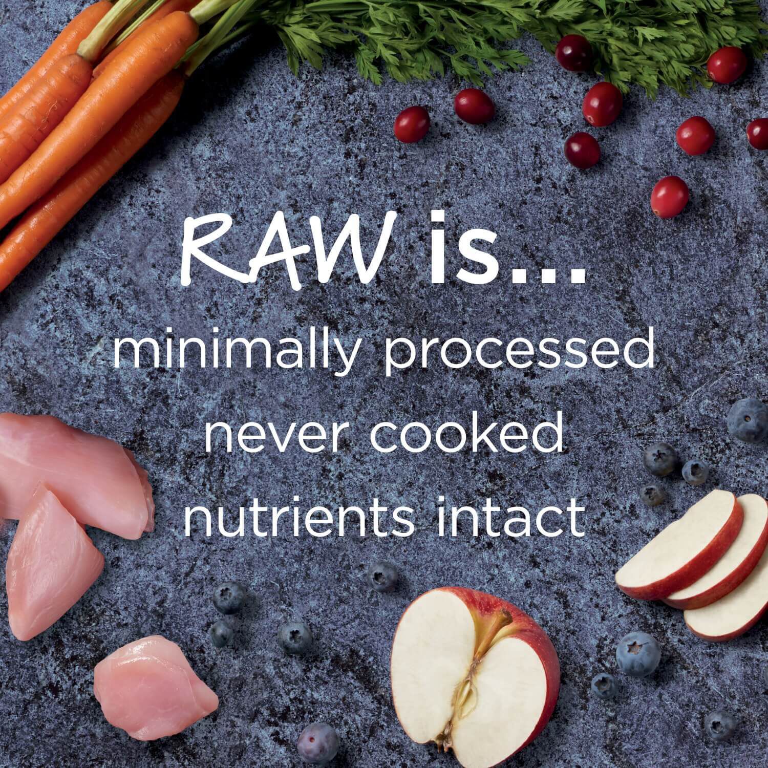 Instinct Raw Boost Indoor Grain-Free Recipe With Real Rabbit Dry Cat Food