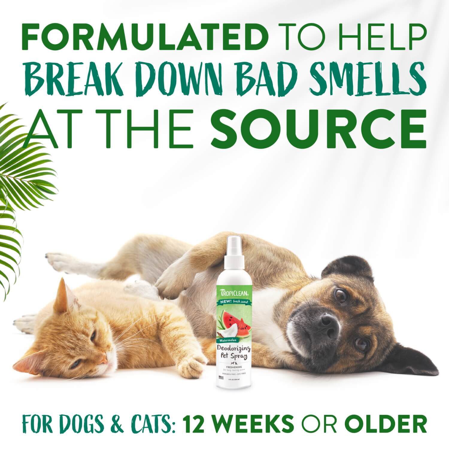 Tropiclean Watermelon Dog & Cat Deodorizing Spray