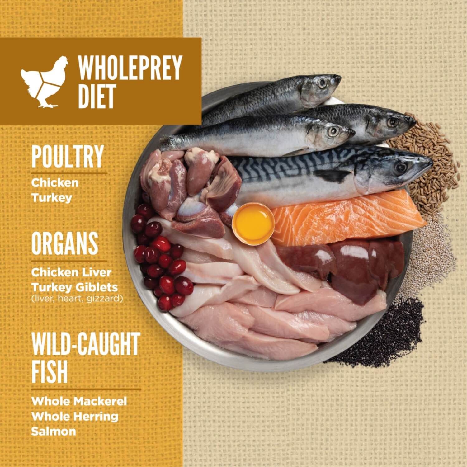 Orijen Amazing Grains High Protein Dry Puppy Food