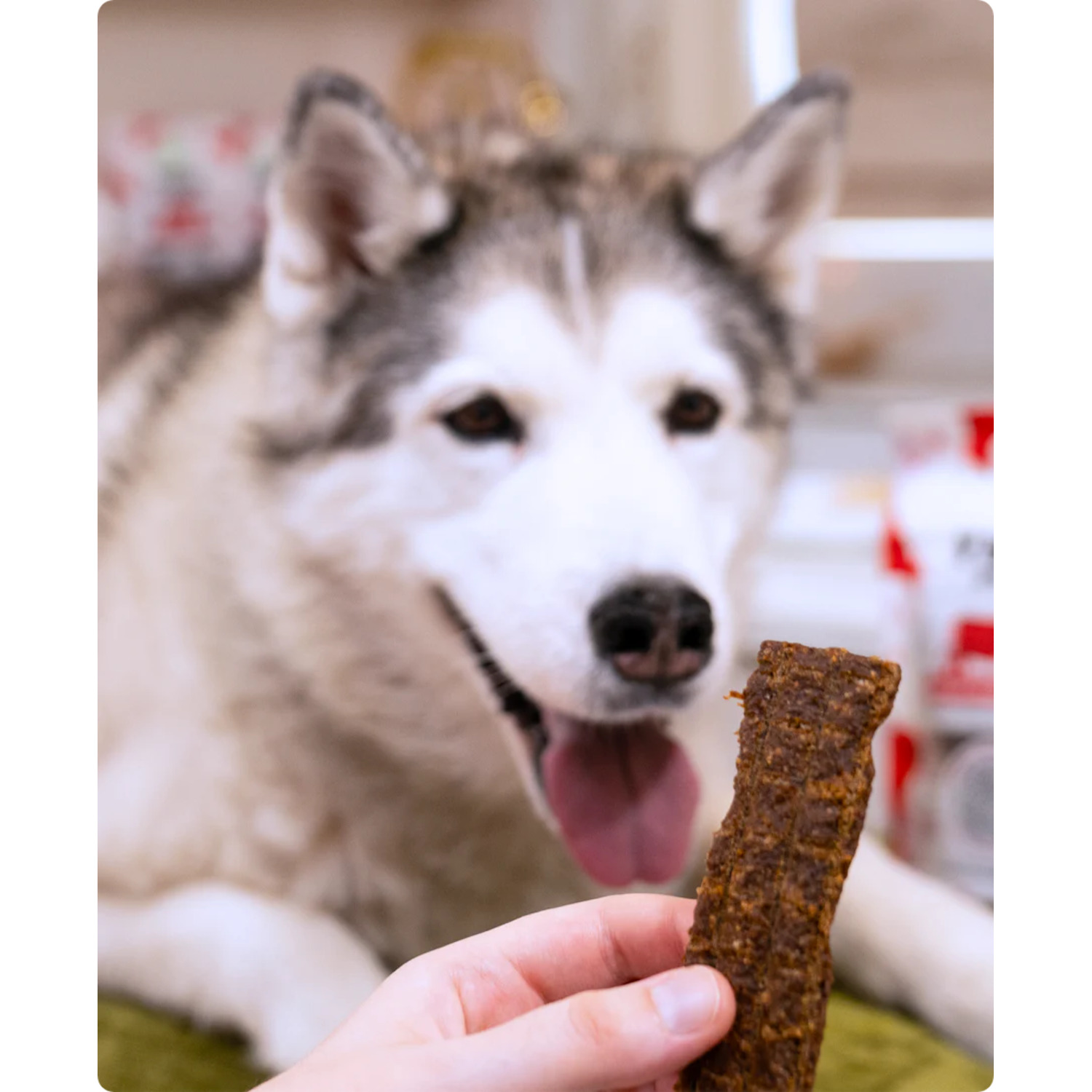 Open Farm Jerky Strips Grain-Free Dog Treats, Grass-Fed Beef, 5.6Oz