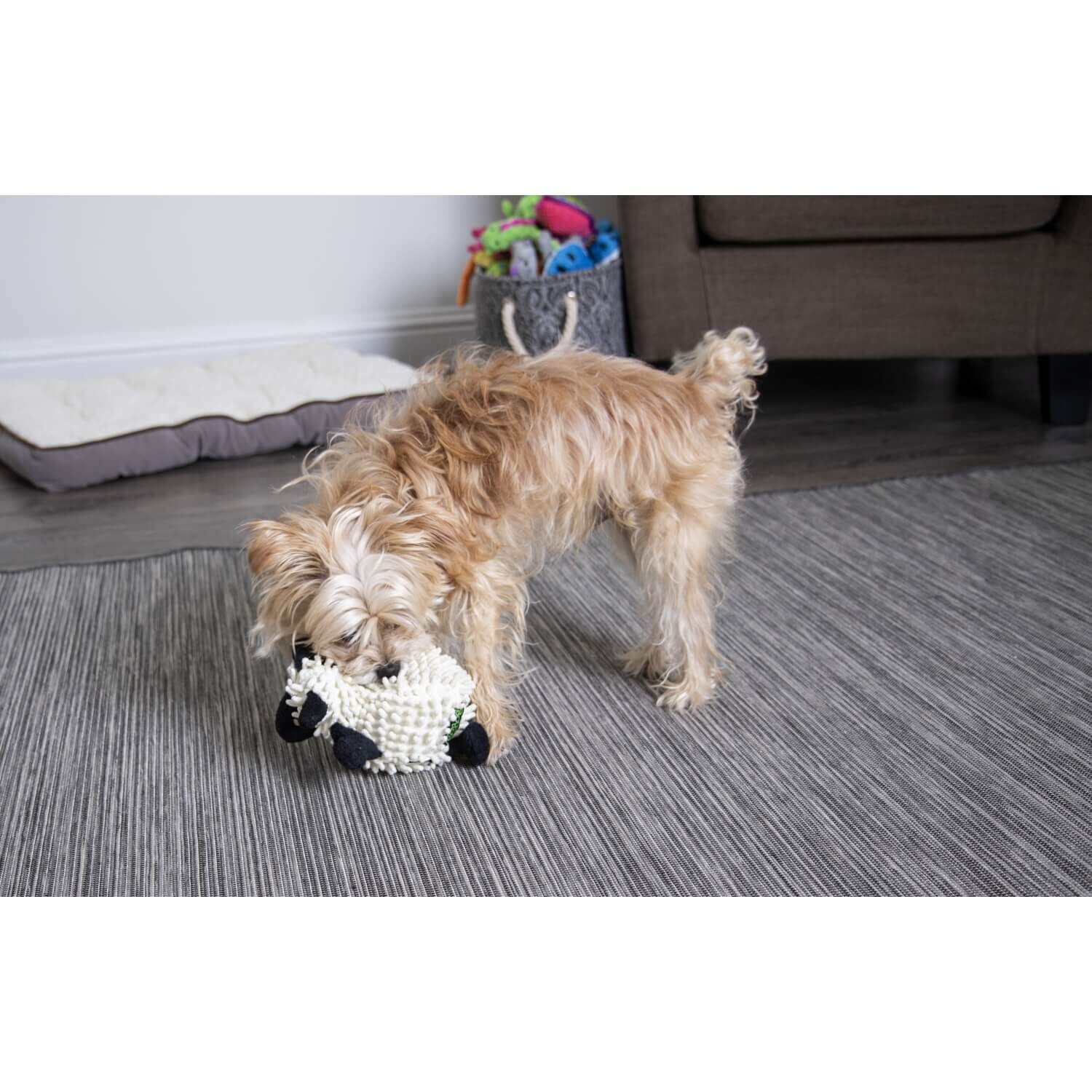 Godog Fuzzy Wuzzy Lamb Squeaky Plush Dog Toy
