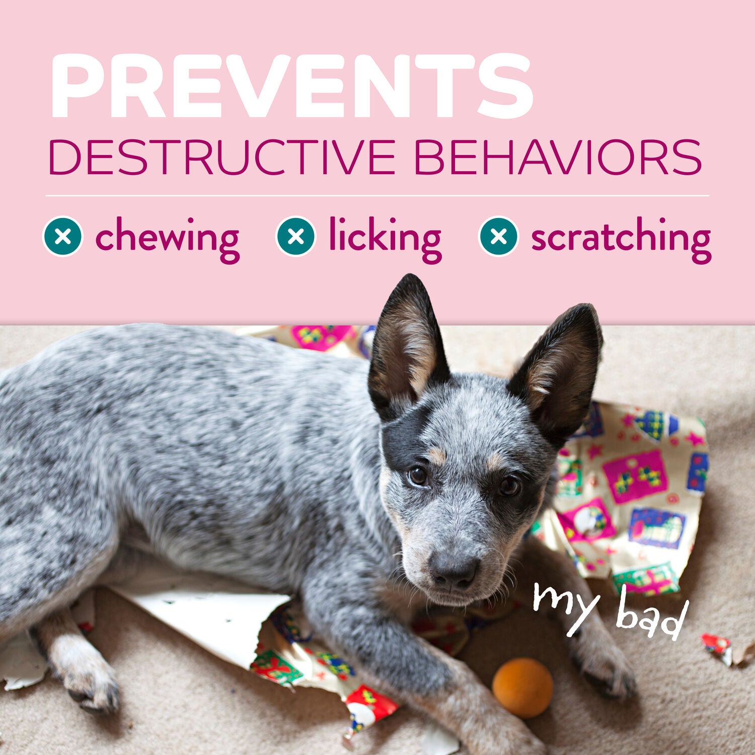 Tropiclean Chew Stop Behavior Aid Puppy Training Spray, 8Oz