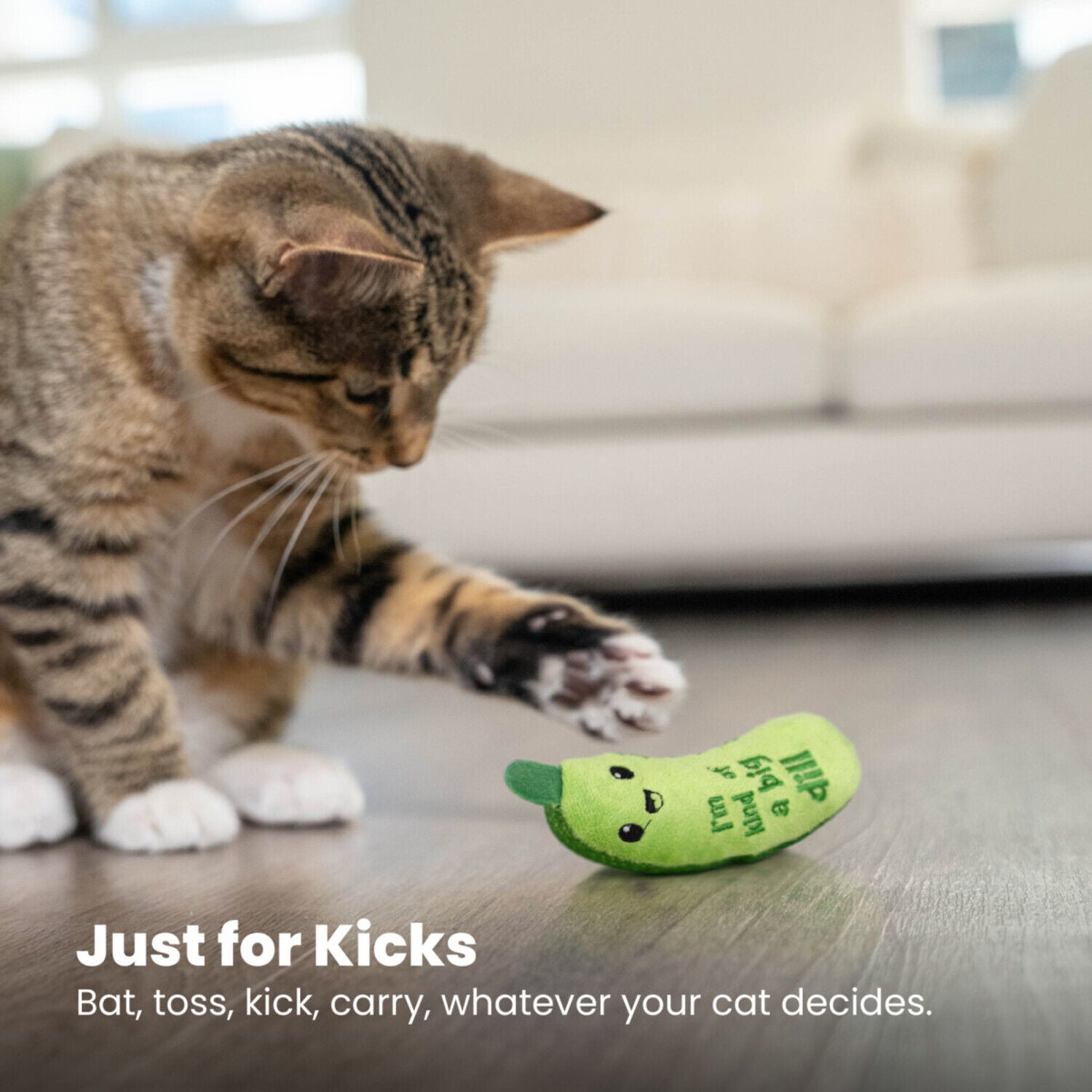 Catstages Crunchy Pickle Kicker Catnip Stuffed Dental Chew Cat Toy