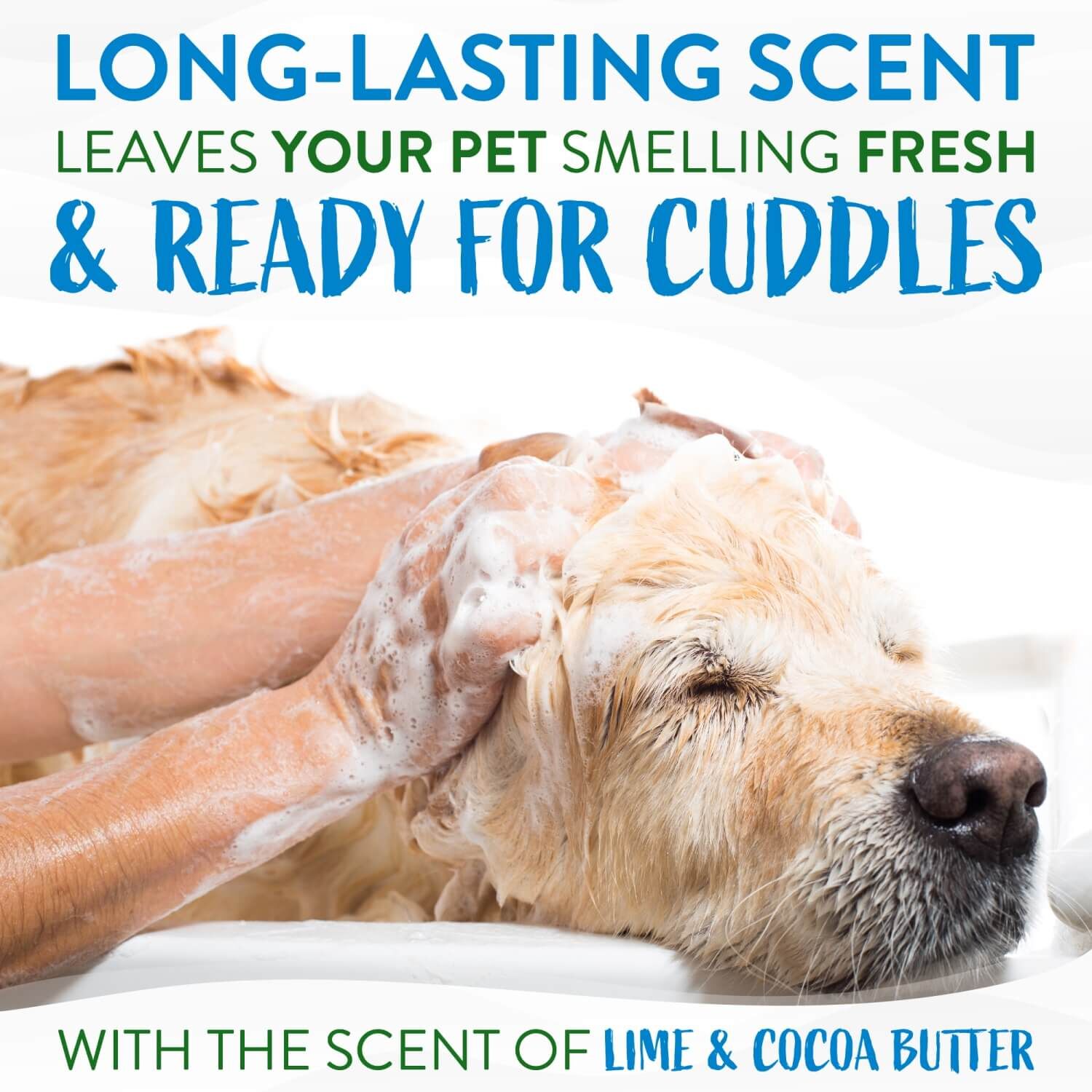 Tropiclean Lime & Cocoa Butter De-Shedding Dog & Cat Conditioner