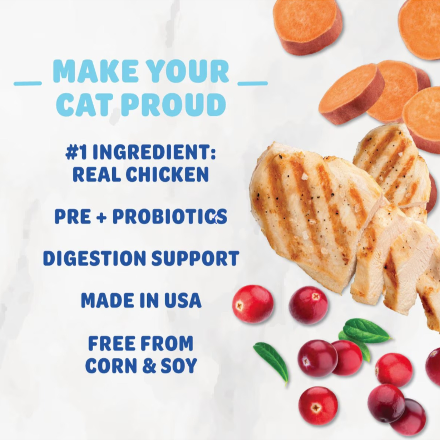 Shameless Pets Cran You Say Chicken Crunchy Cat Treats, 2.5Oz