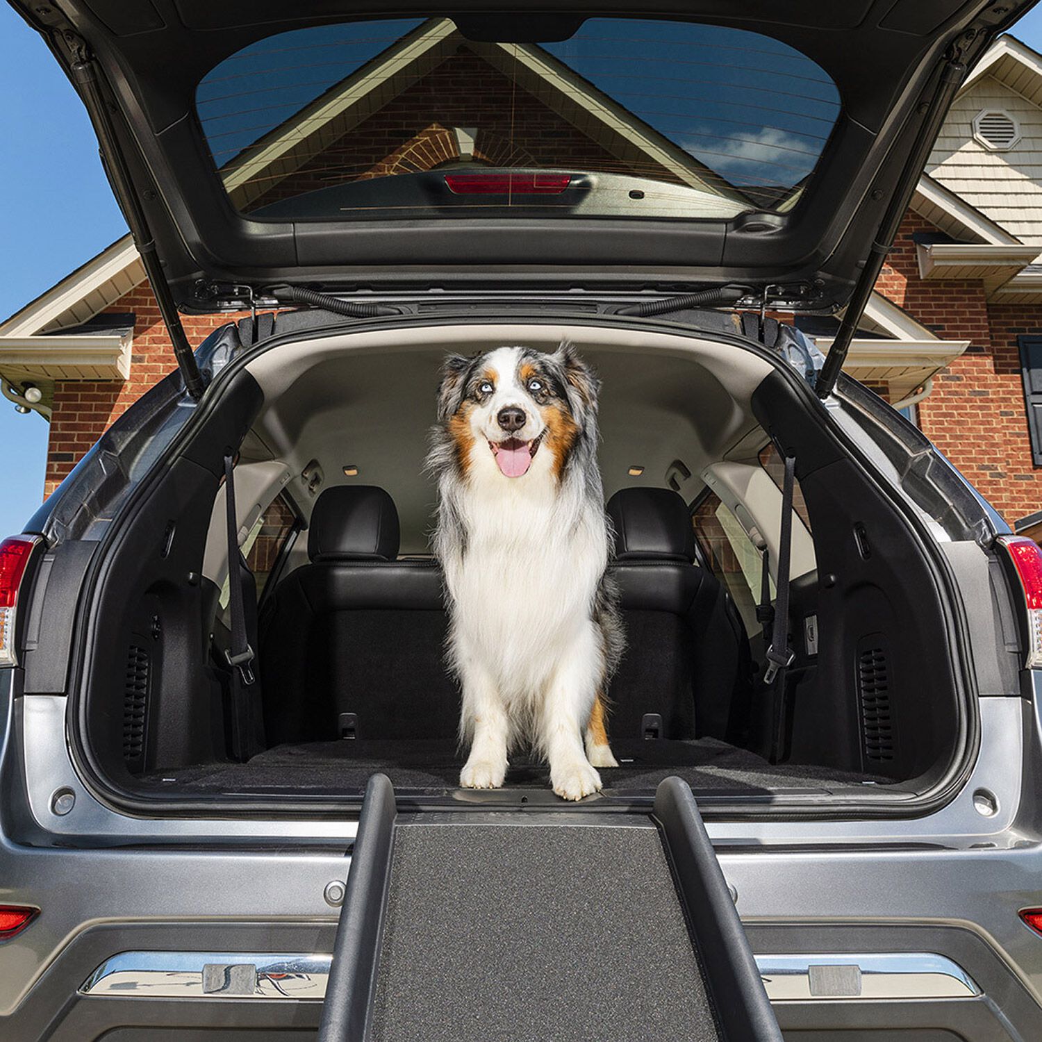 Petsafe Happy Ride&reg; Folding Dog Ramp