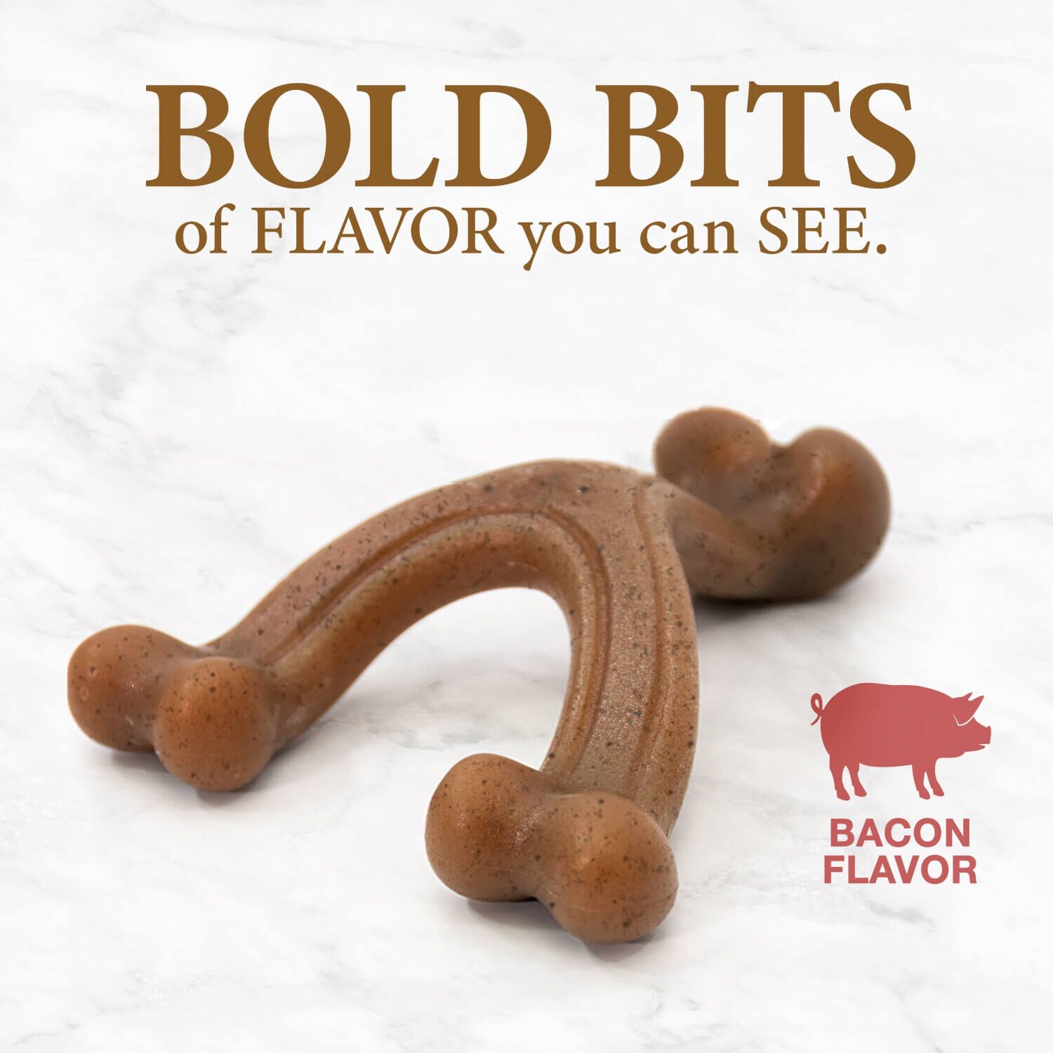 Nylabone Gourmet Style Strong Chew Wishbone Dog Toy - Bacon Flavor