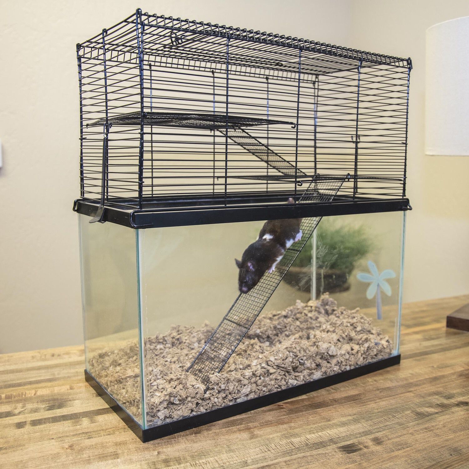 Ware Pet Products Chew Proof High Rise Small Animal Pet Cage