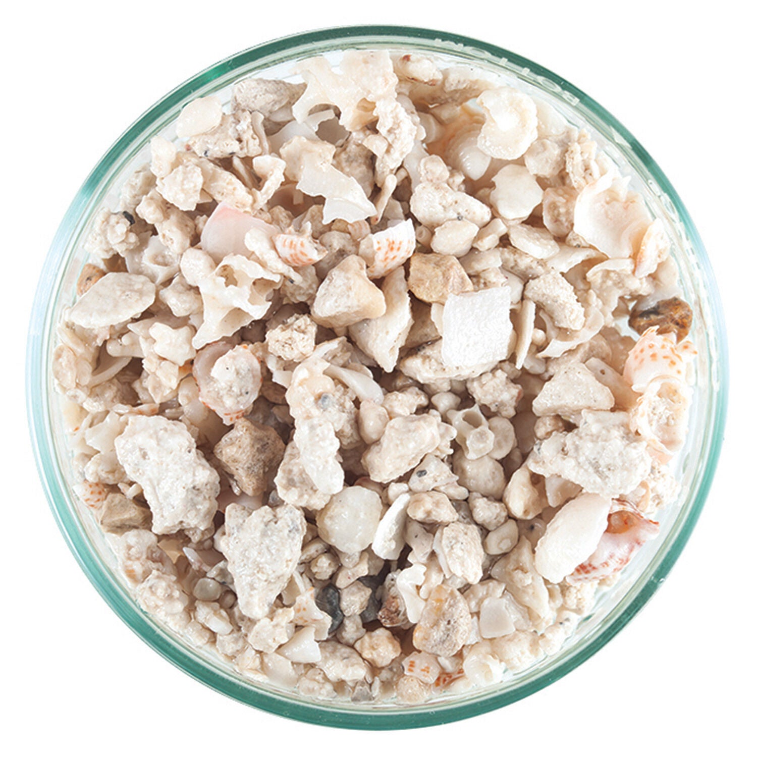 Carib Sea Florida Crushed Coral