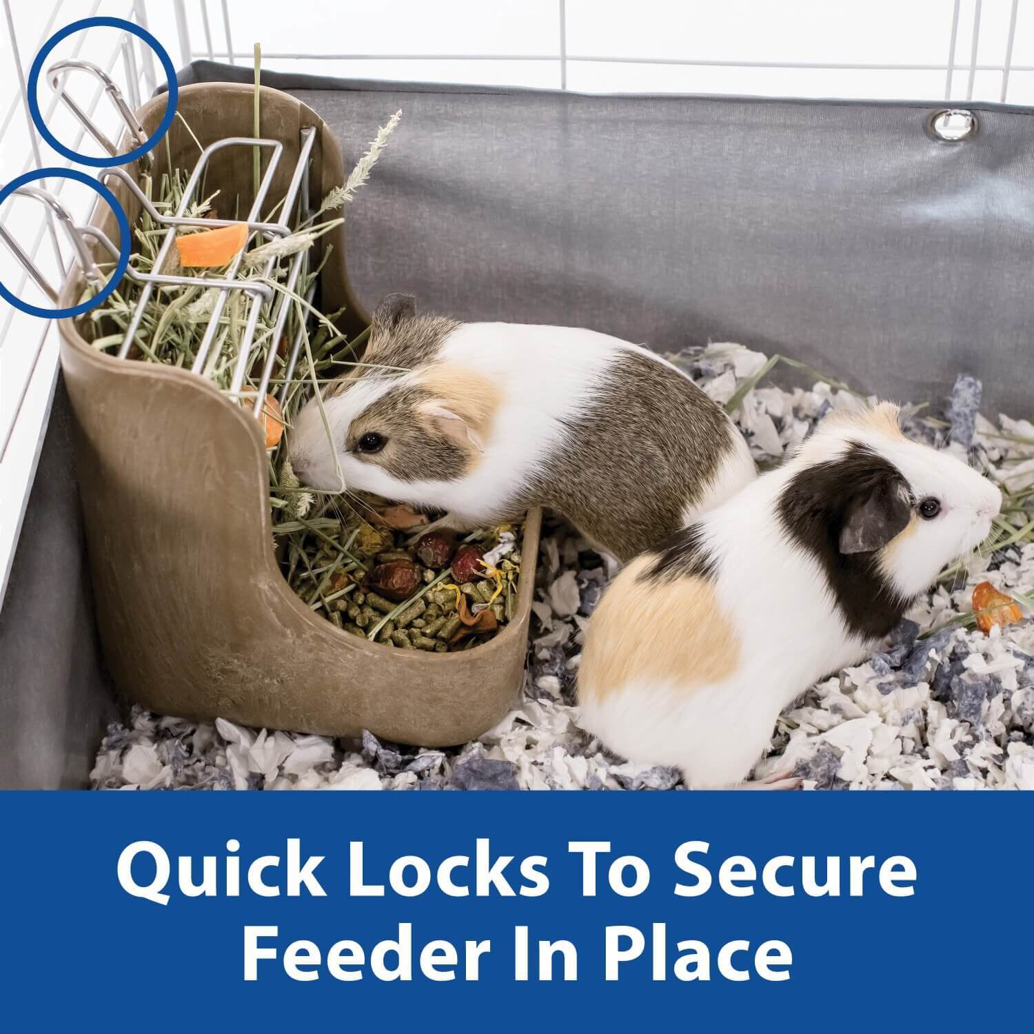 Kaytee Hay-N-Food Feeder
