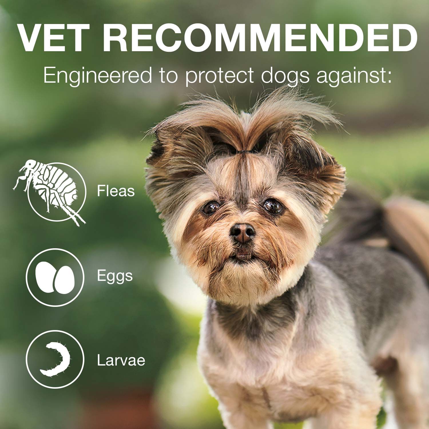 Advantage Ii Flea Treatment For Dogs, Over 55-Lbs 6-Pack = 6 Months Of Protection