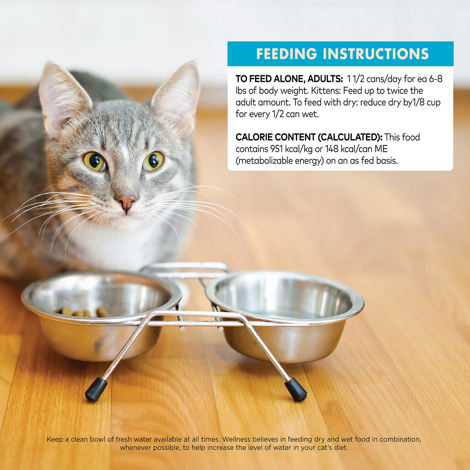 Wellness Core Hearty Cuts Natural Grain Free Chicken & Tuna Wet Cat Food