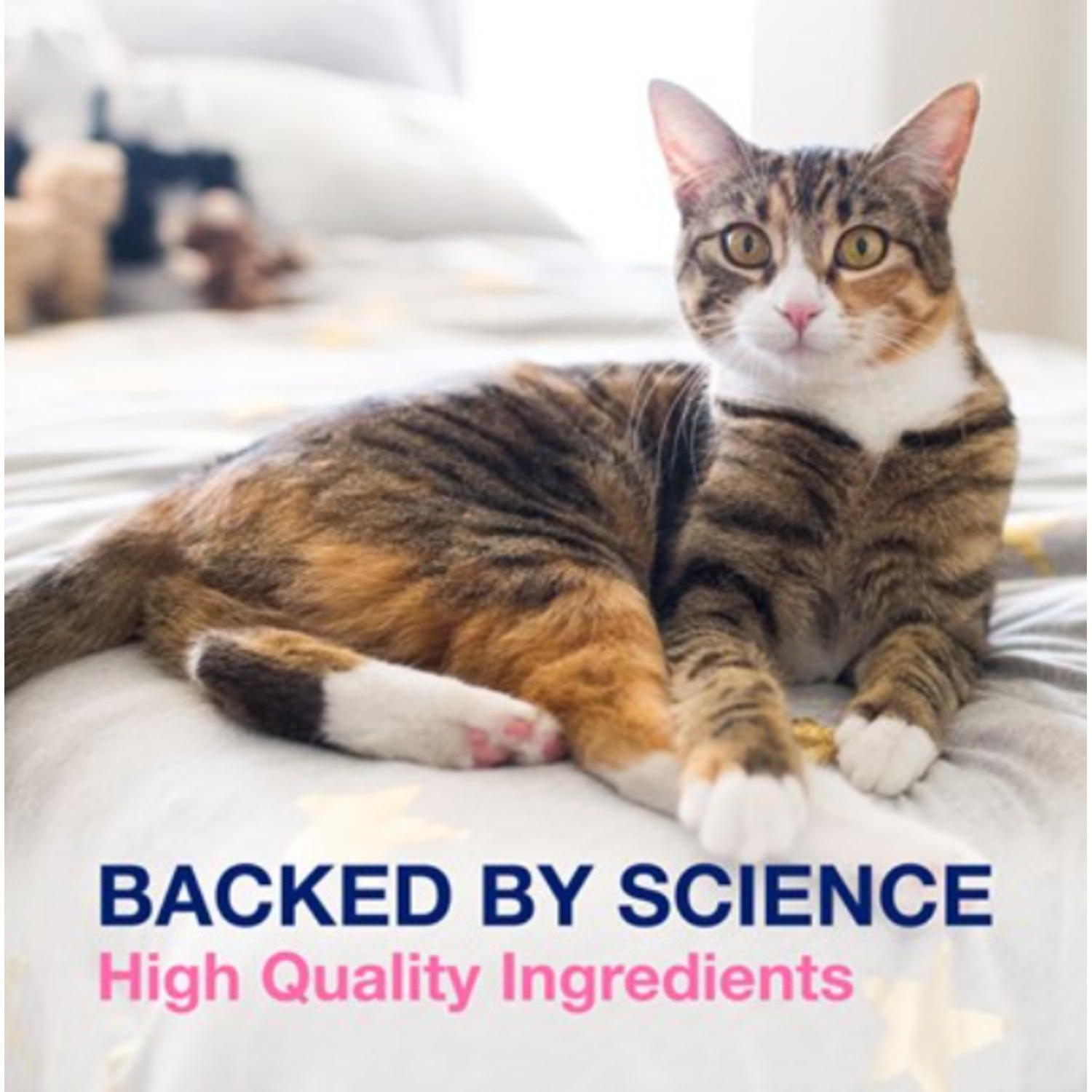 Nutramax Proviable Digestive Health Supplement Multi-Strain Probiotics And Prebiotics For Cats And Dogs, 30Ct