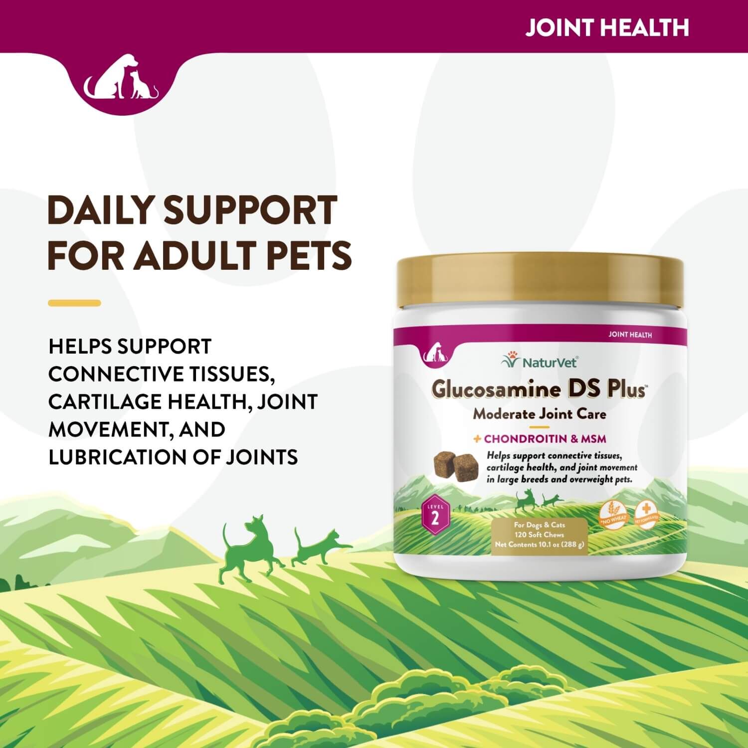 Naturvet Glucosamine Ds +Chondroitin & Msm Moderate Joint Care Soft Chew Supplements For Dogs & Cats