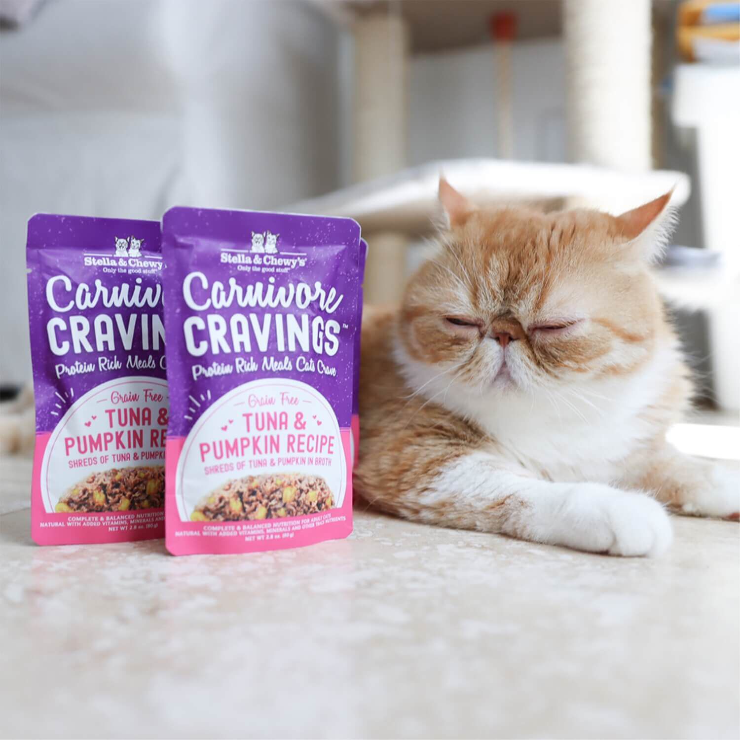 Stella & Chewy's Carnivore Cravings Tuna & Pumpkin Recipe Cat Food