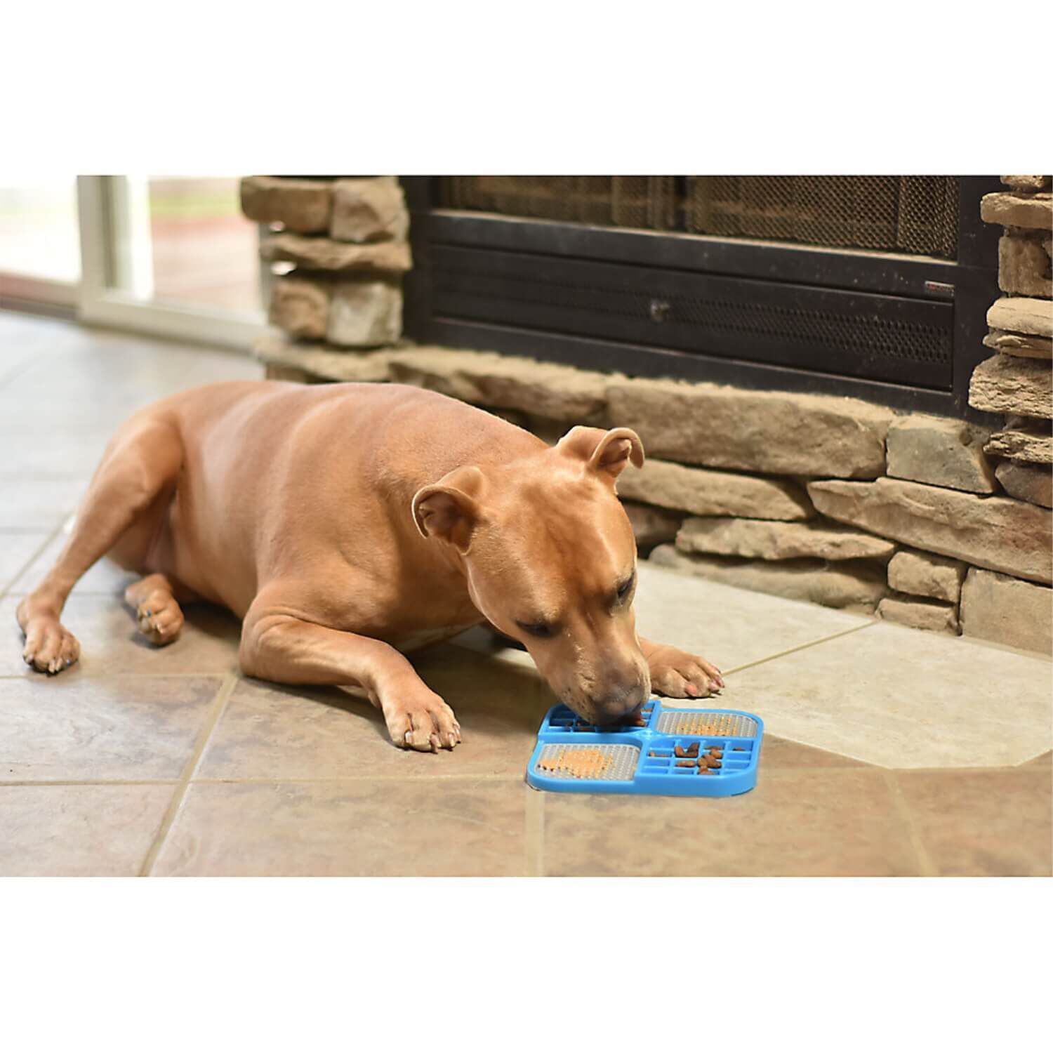 Pet Zone Boredom Busterz Blue Duo Dog Feeding Mat