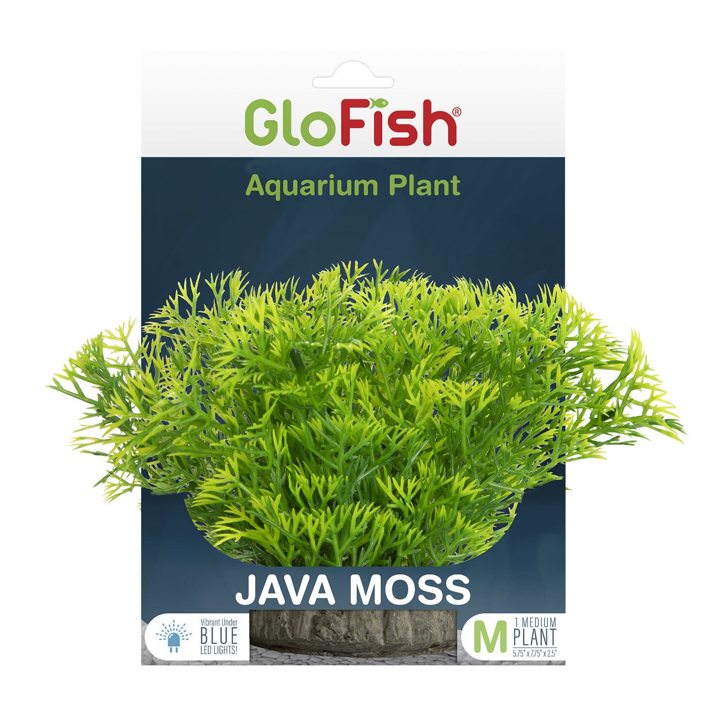 Javamoss Aquarium Plant