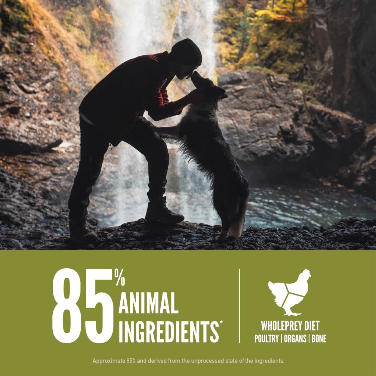 Orijen Senior Grain Free High Protein Dry Dog Food