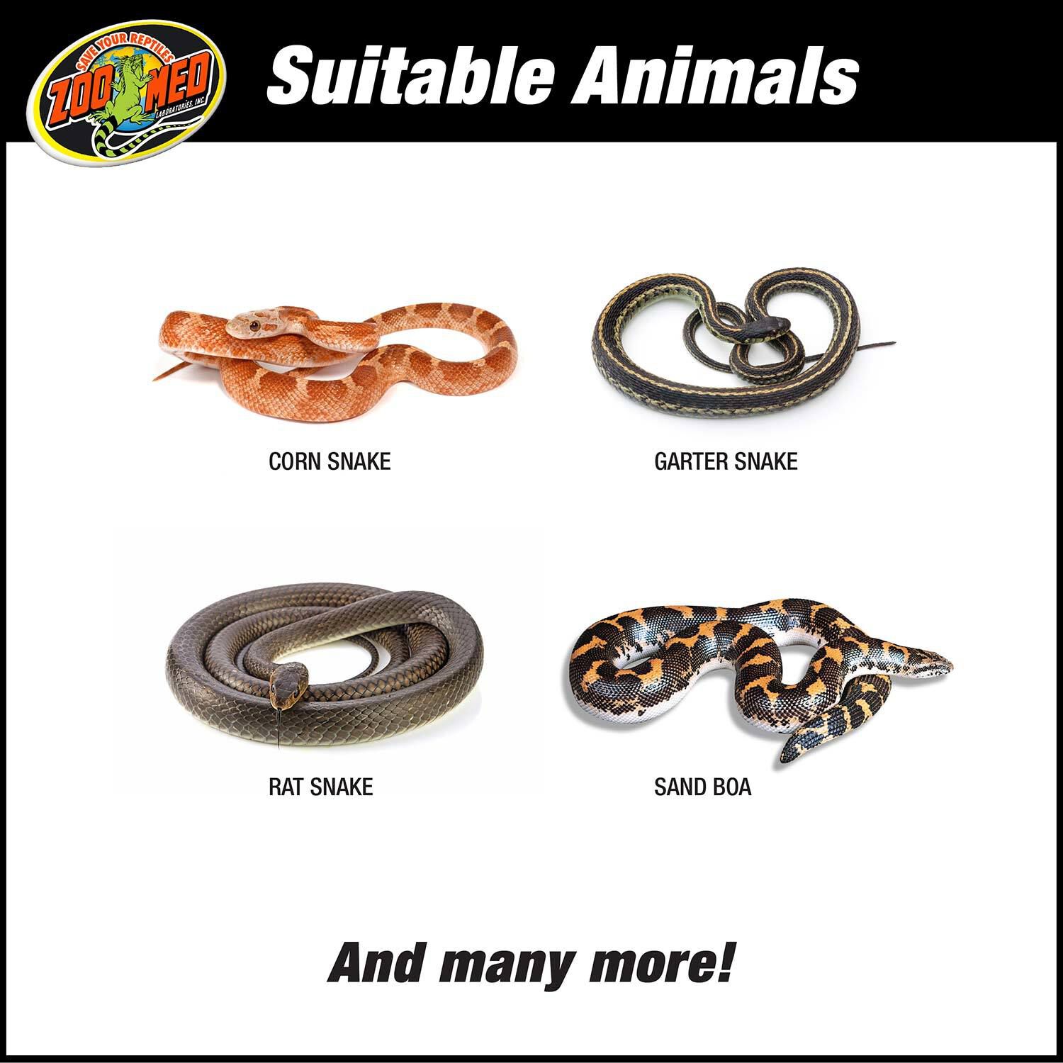 Zoo Med Reptihabitat 20 Gallon Snake Kit Reptile Habitat Starter Kit
