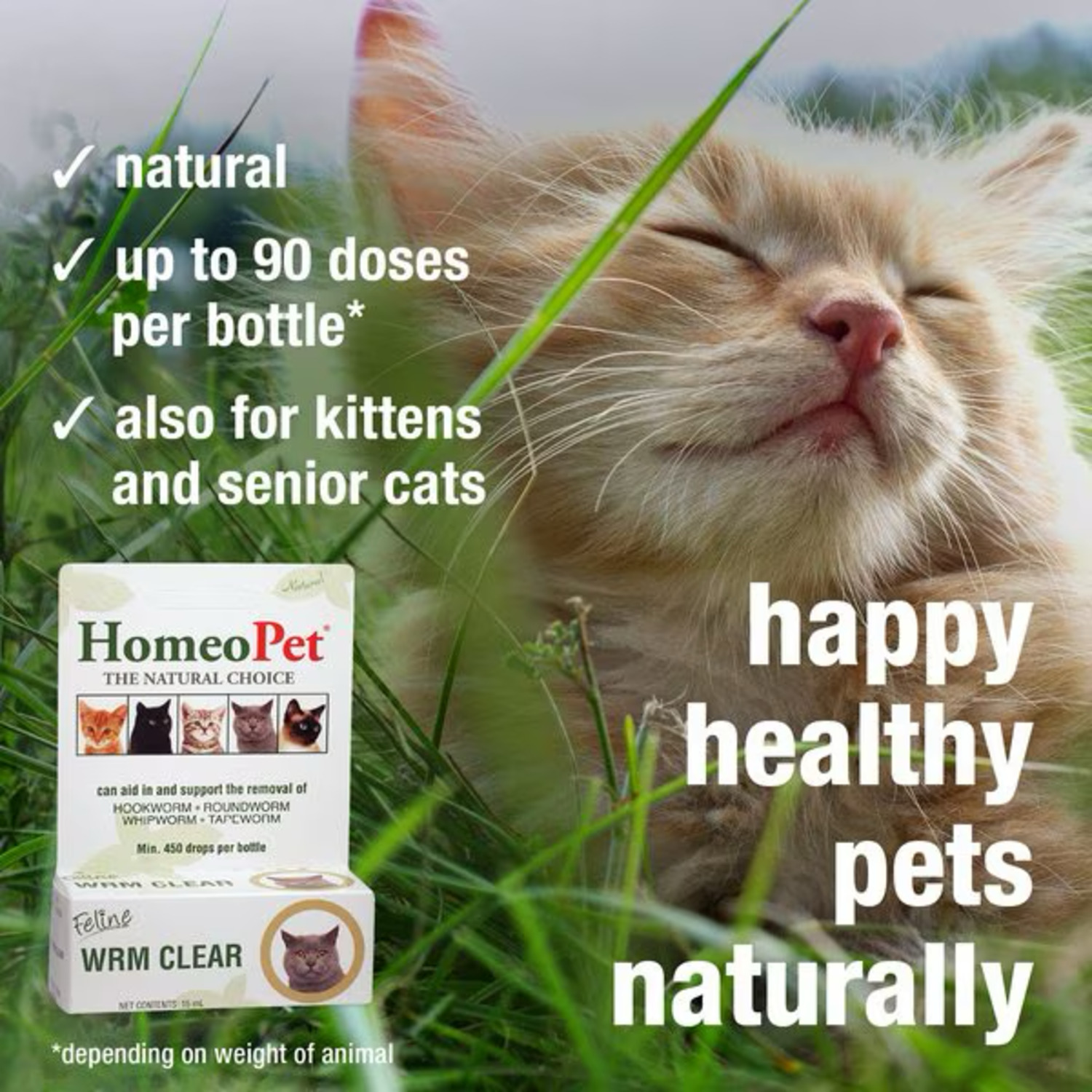 Homeopet Feline Wrm Clear Cat Deworming Aid, 15 Ml