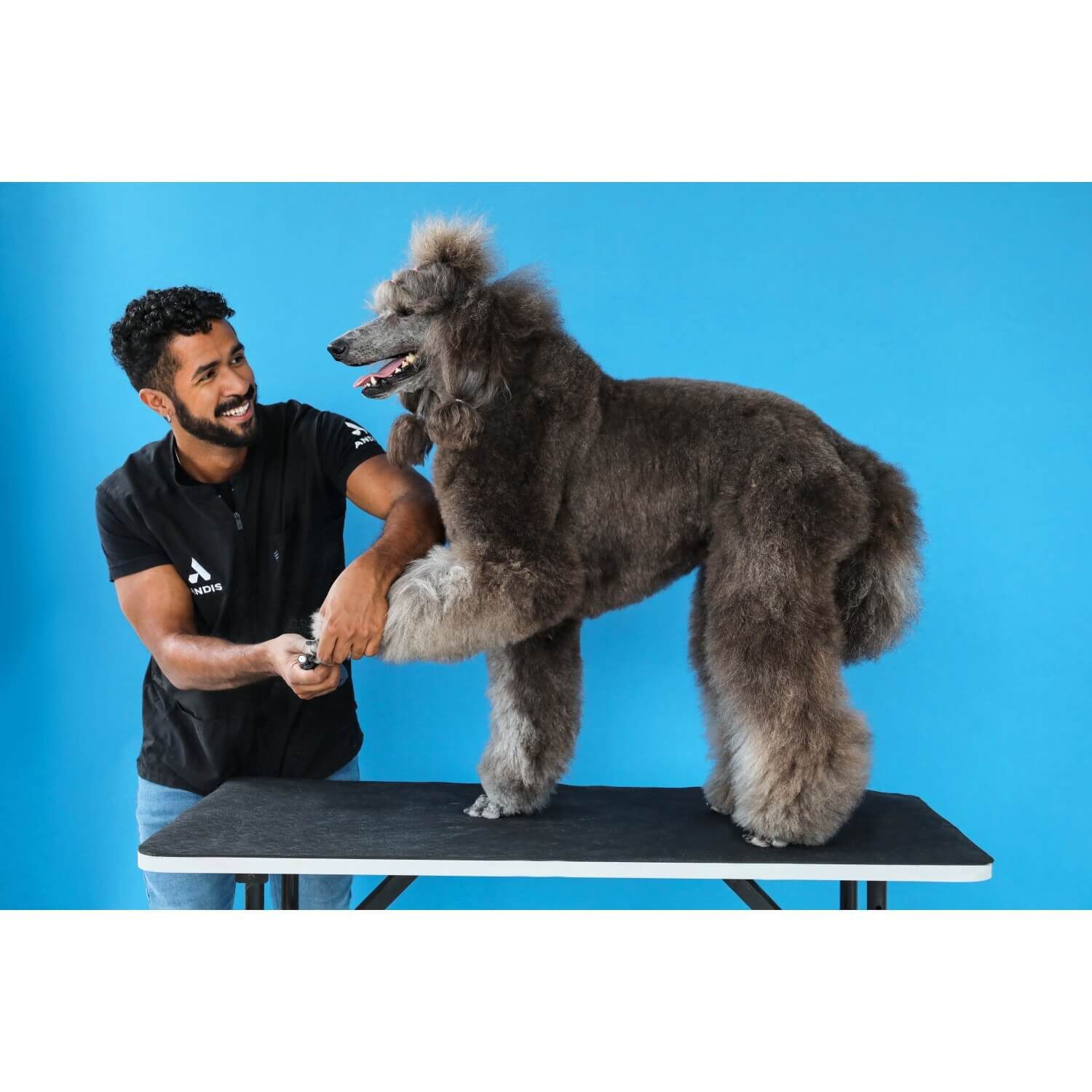 Andis 6-Speed Cordless Dog Nail Grinder Kit