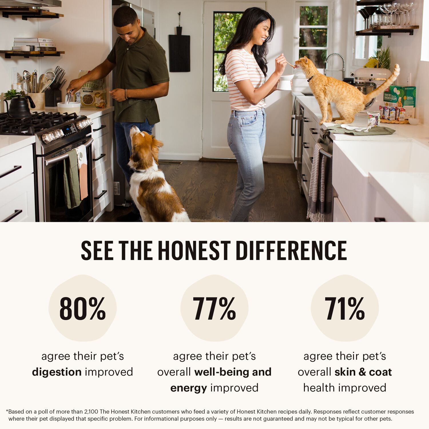 The Honest Kitchen Wholemade Whole Grain Chicken Recipe Dehydrated Dog Food, 7-Lb