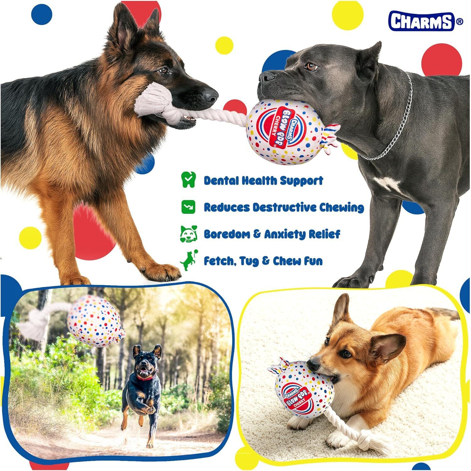Tootsie Blow Pop Plush Rope & Tug Scented Dog Toy, 20"