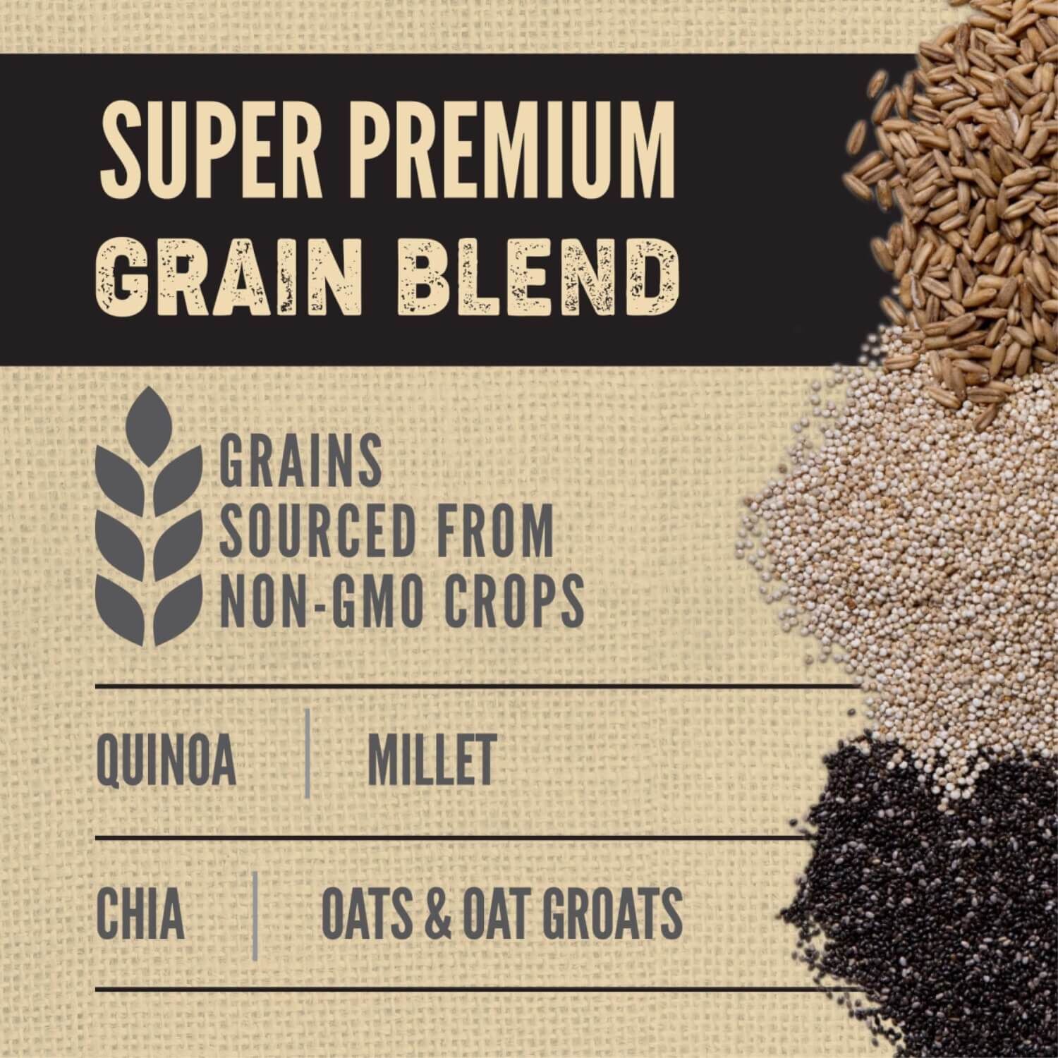Orijen Amazing Grains High Protein Dry Puppy Food