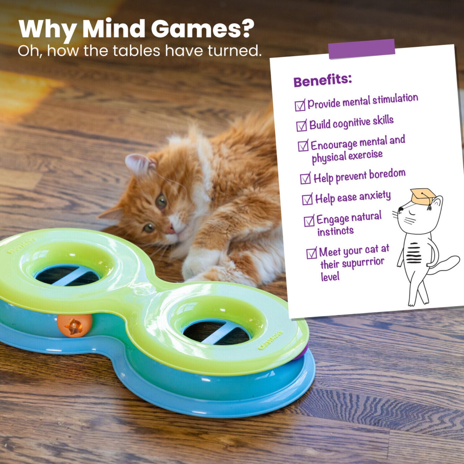 Catstages Infinity Ball Track Interactive Cat Toy