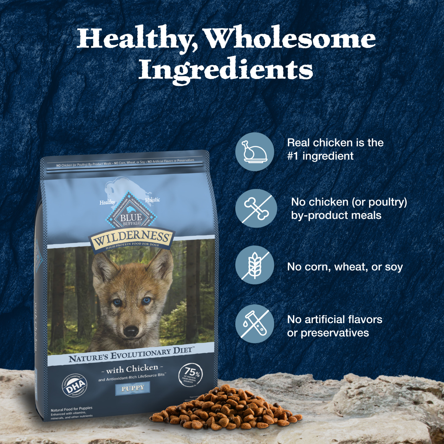 Blue Buffalo Wilderness Chicken Recipe High-Protein Puppy Dry Dog Food
