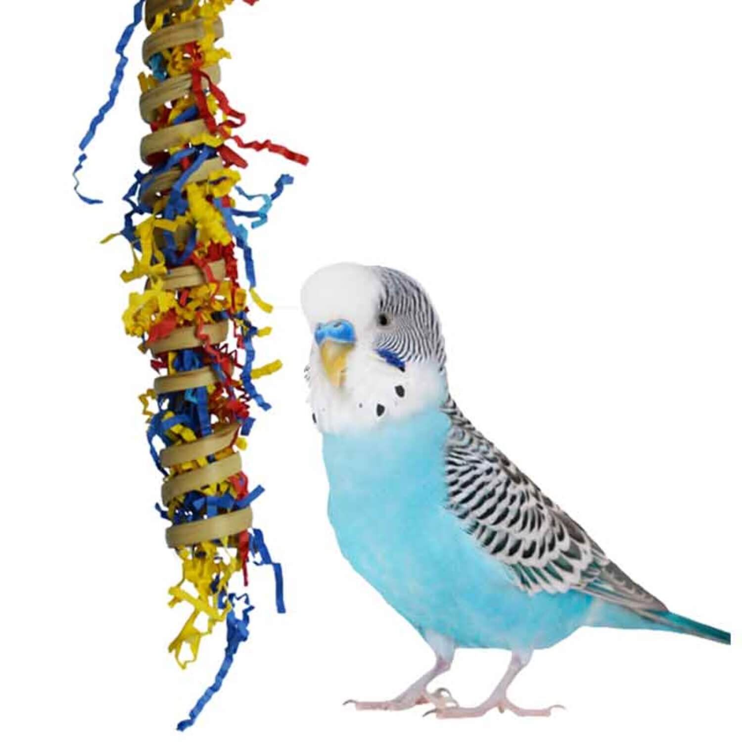Fiesta Millet Holder