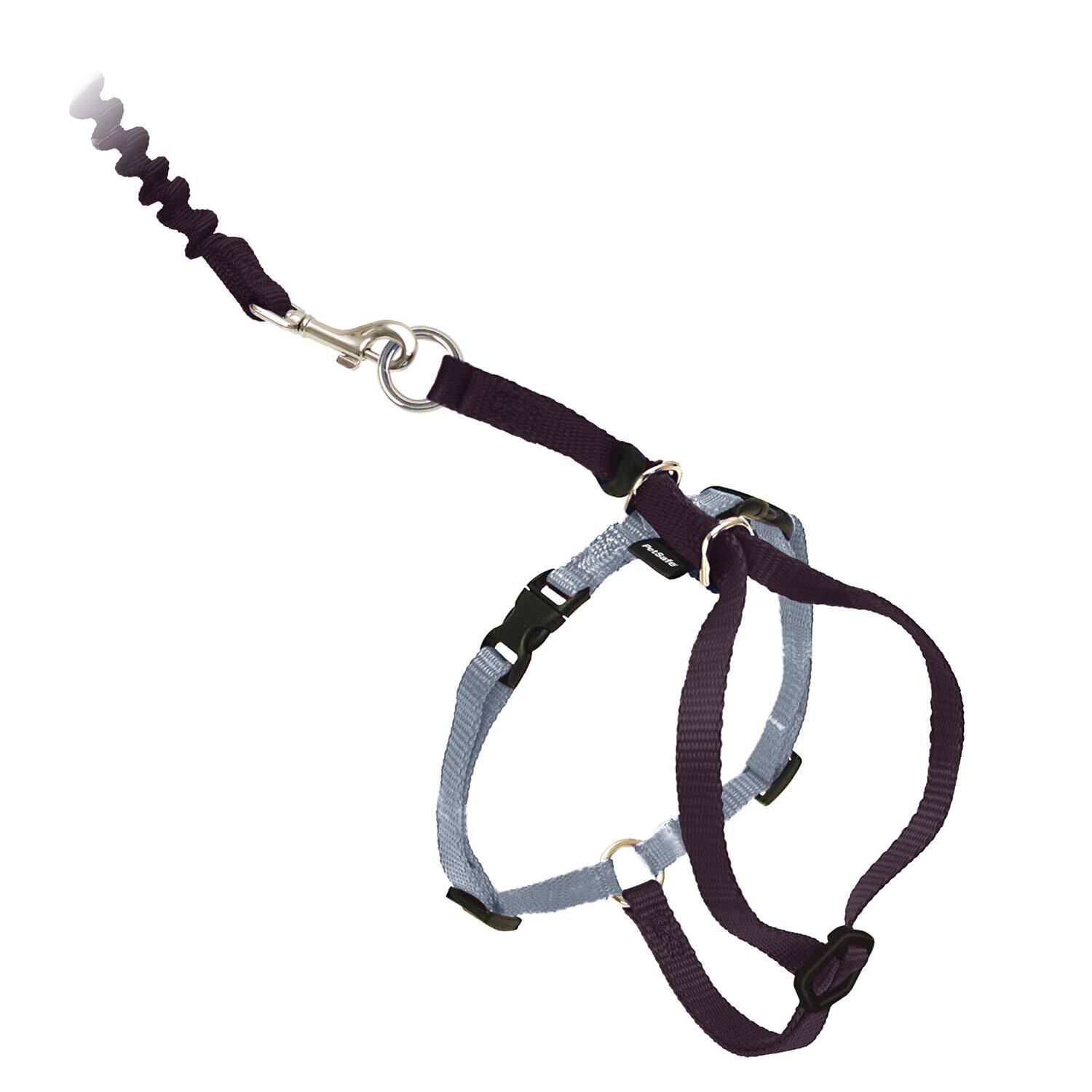 Petsafe Come With Me Kitty&trade; Cat Harness And Bungee Leash, Black