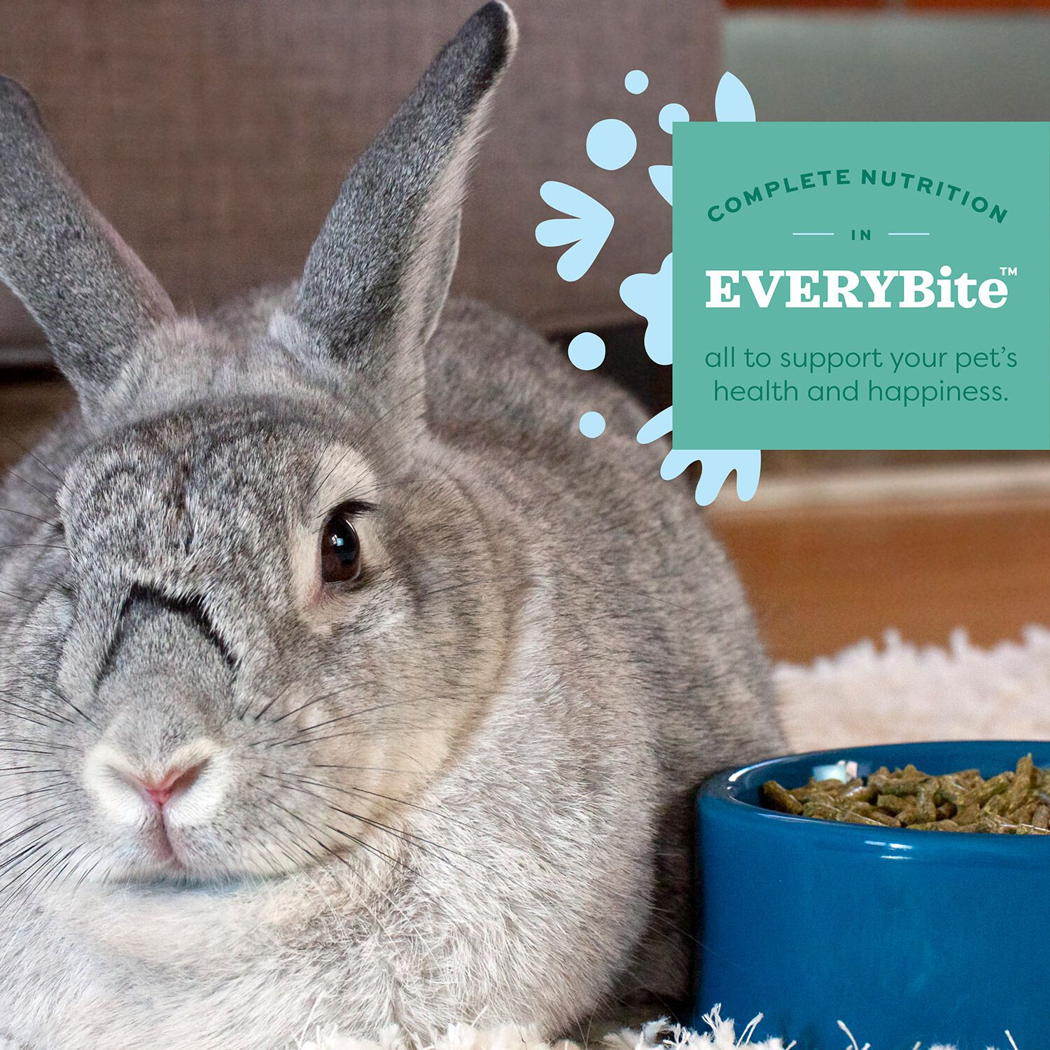 Oxbow Essentials Senior Rabbit Food