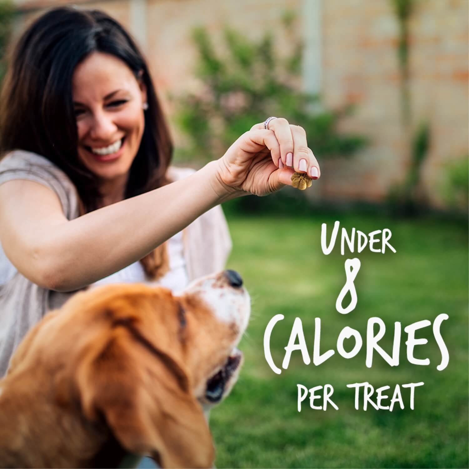 Fruitables Baked Pumpkin & Cranberry Flavor Crunchy Dog Treats