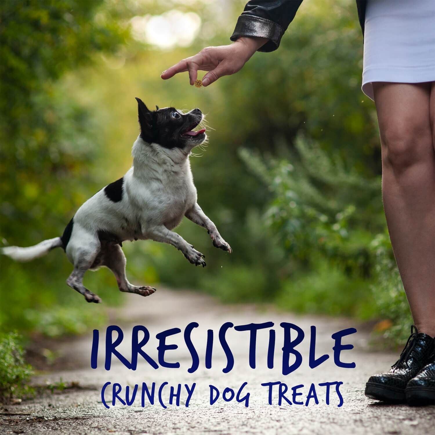 Fruitables Skinny Minis Grain Free Low Calorie Dog Treats, Pumpkin & Blueberry Flavor