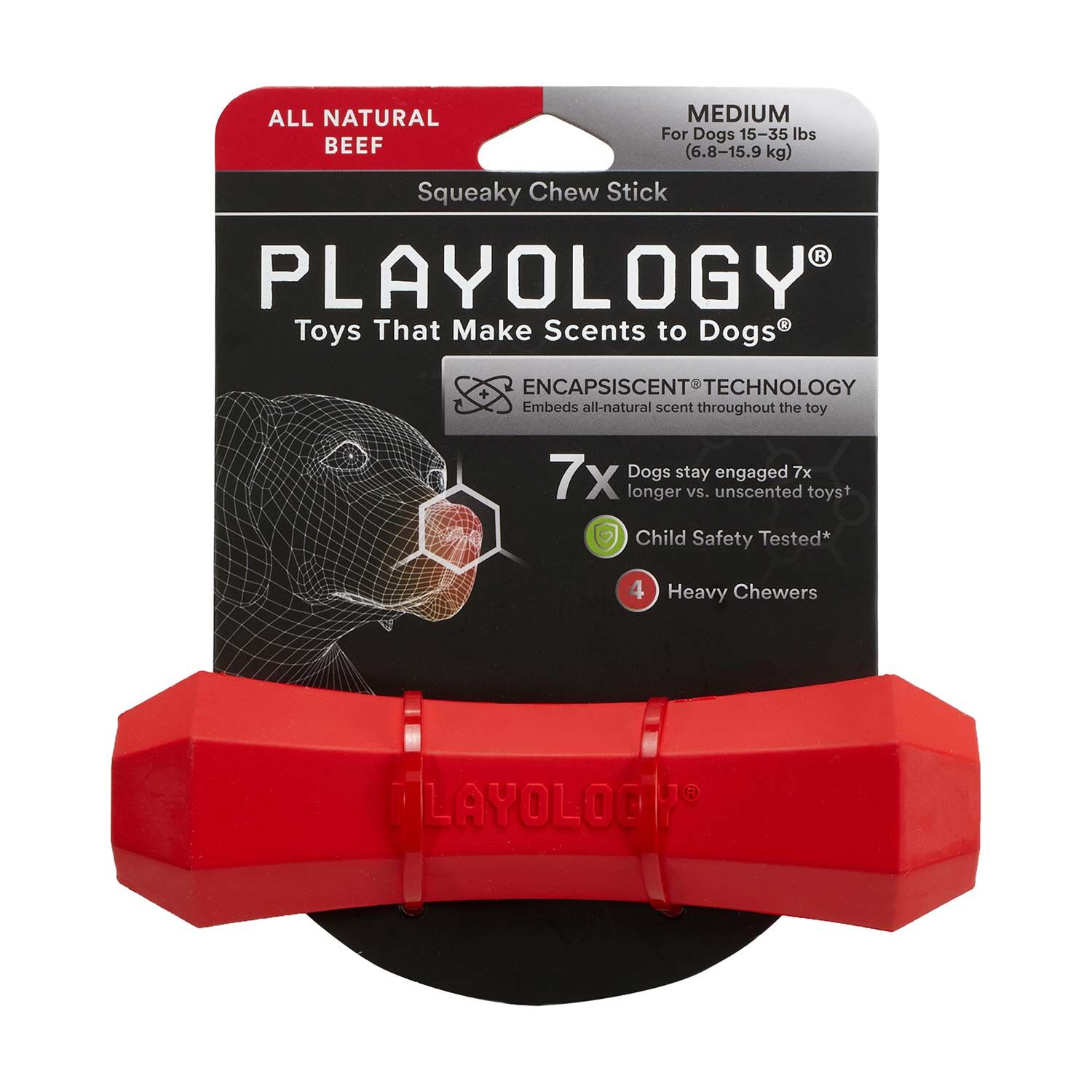 Playology Beef Scented Squeaky Chew Stick Dog Toy||