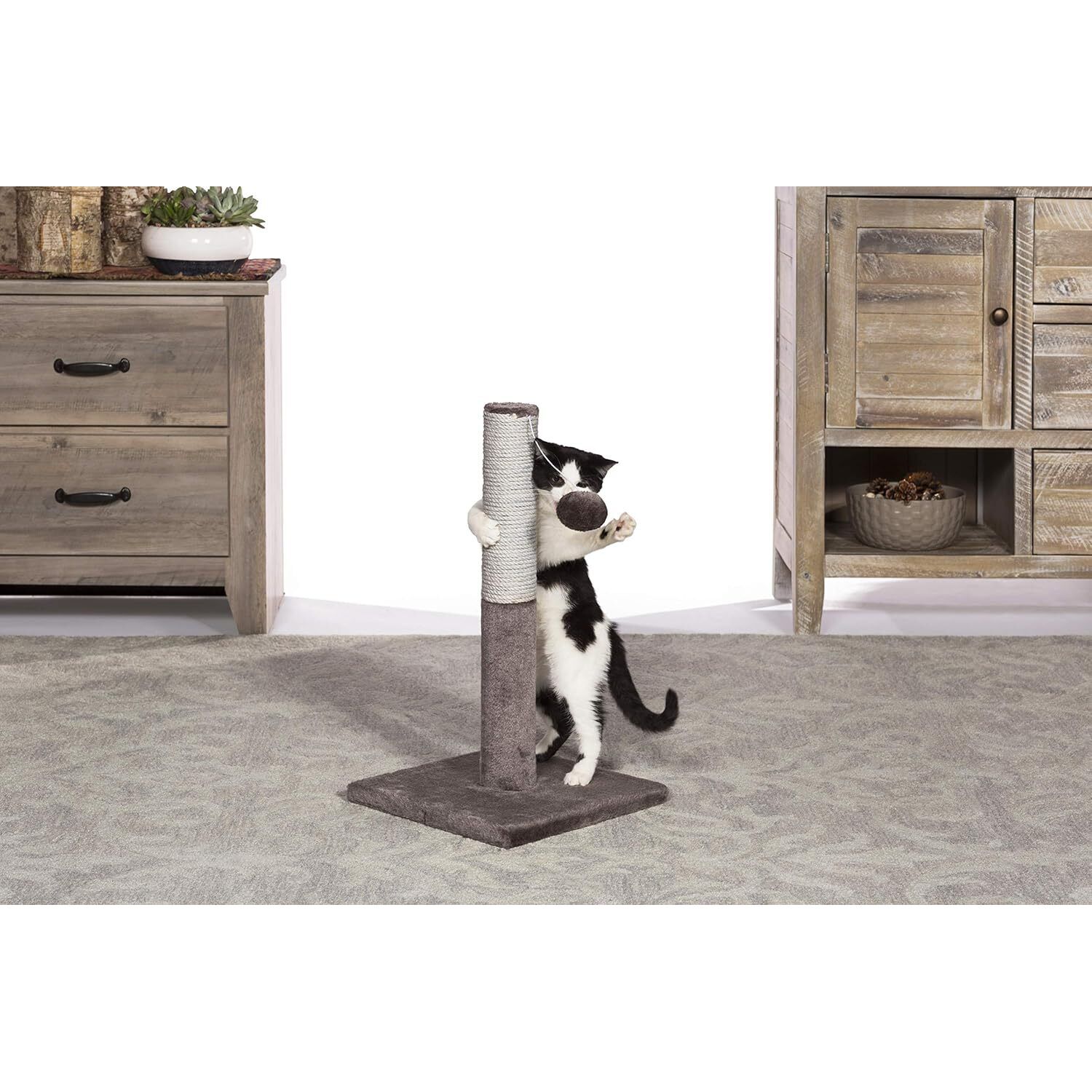 Prevue Pet Products Play & Scratch Toy Cat Scratching Post, 20.5" Brown