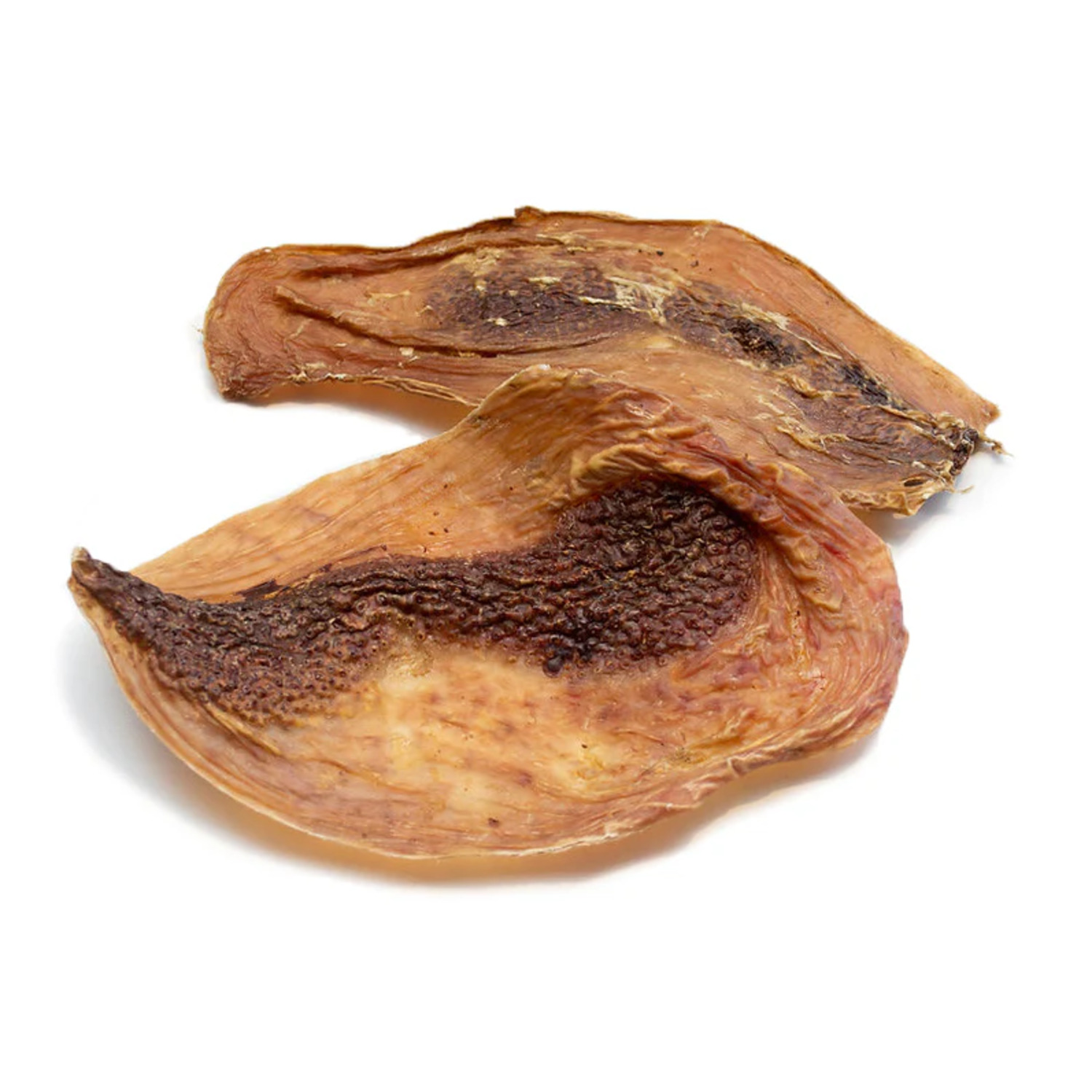 Performatrin Ultra Ostrich Disc Natural Dog Treat, 1 Each