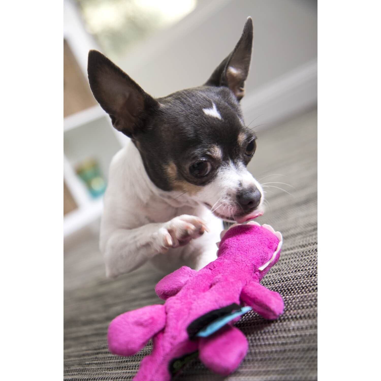 Godog Just For Me Gators Squeaky Plush Dog Toy - Pink Mini