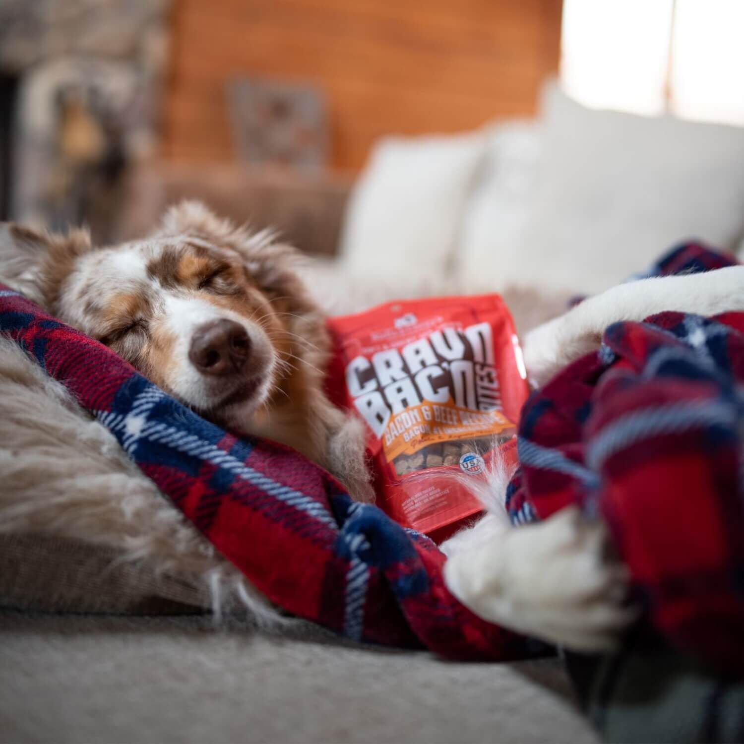 Stella & Chewy's Crav'n Bac'n Bites Bacon & Beef Recipe Dog Treats