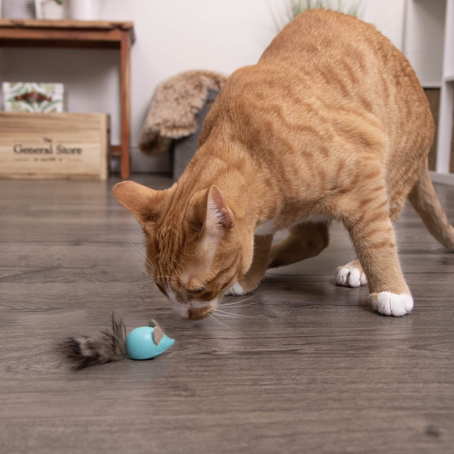 Instincts By Smartykat&reg; By Smartykat&reg; Sneaky Slider Rolling Marble Raccoon Cat Toy