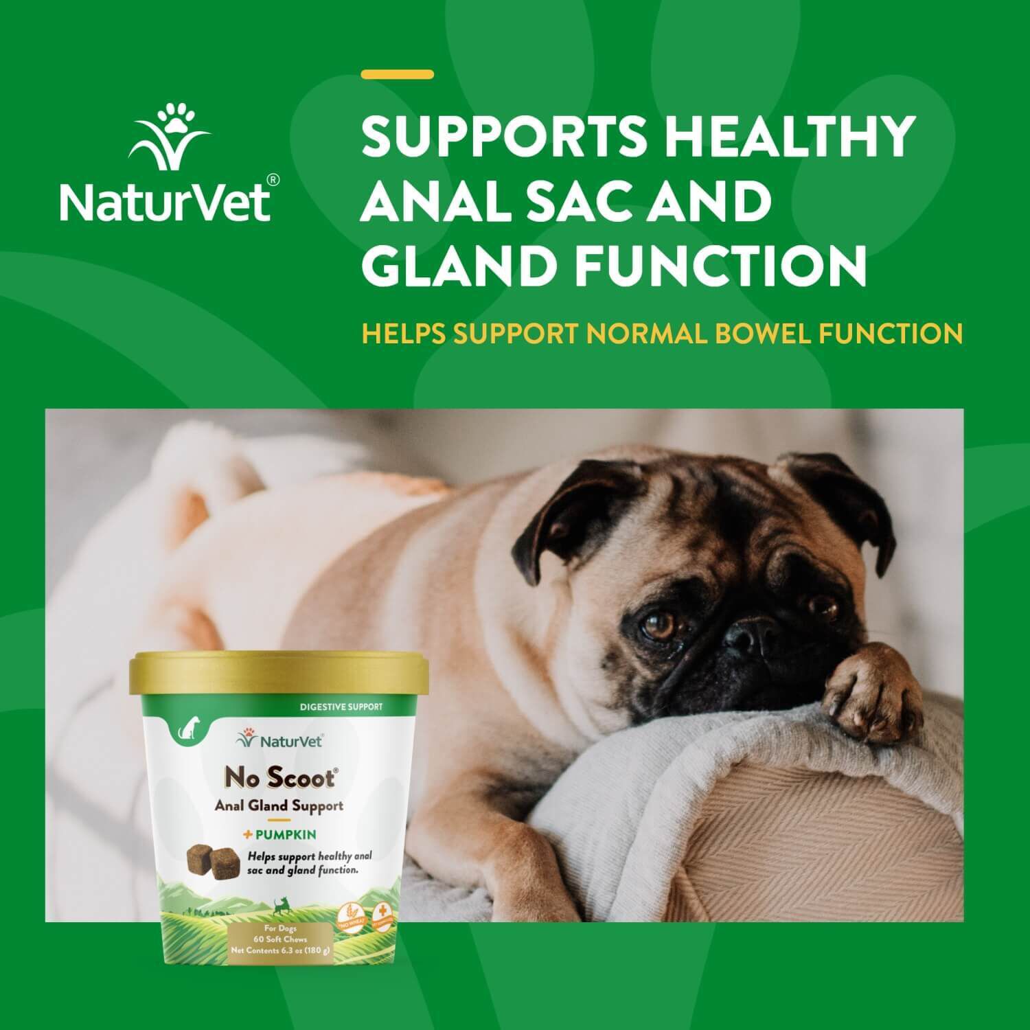 Naturvet No Scoot Anal Gland Support + Pumpkin Soft Chew Supplements For Dogs