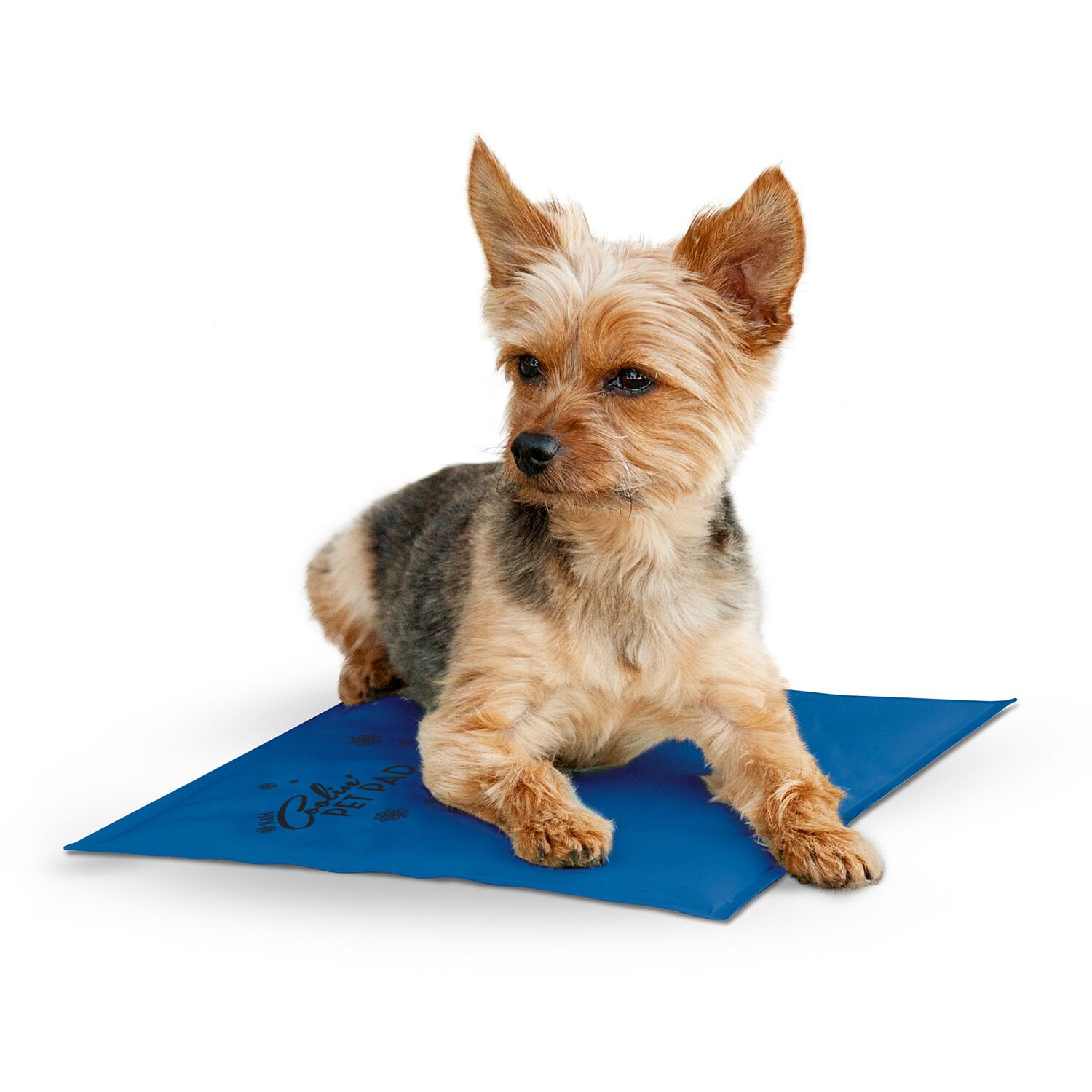 K&H Pet Products Coolin' Pet Pad Indoor Outdoor Cooling Dog Mat, Blue